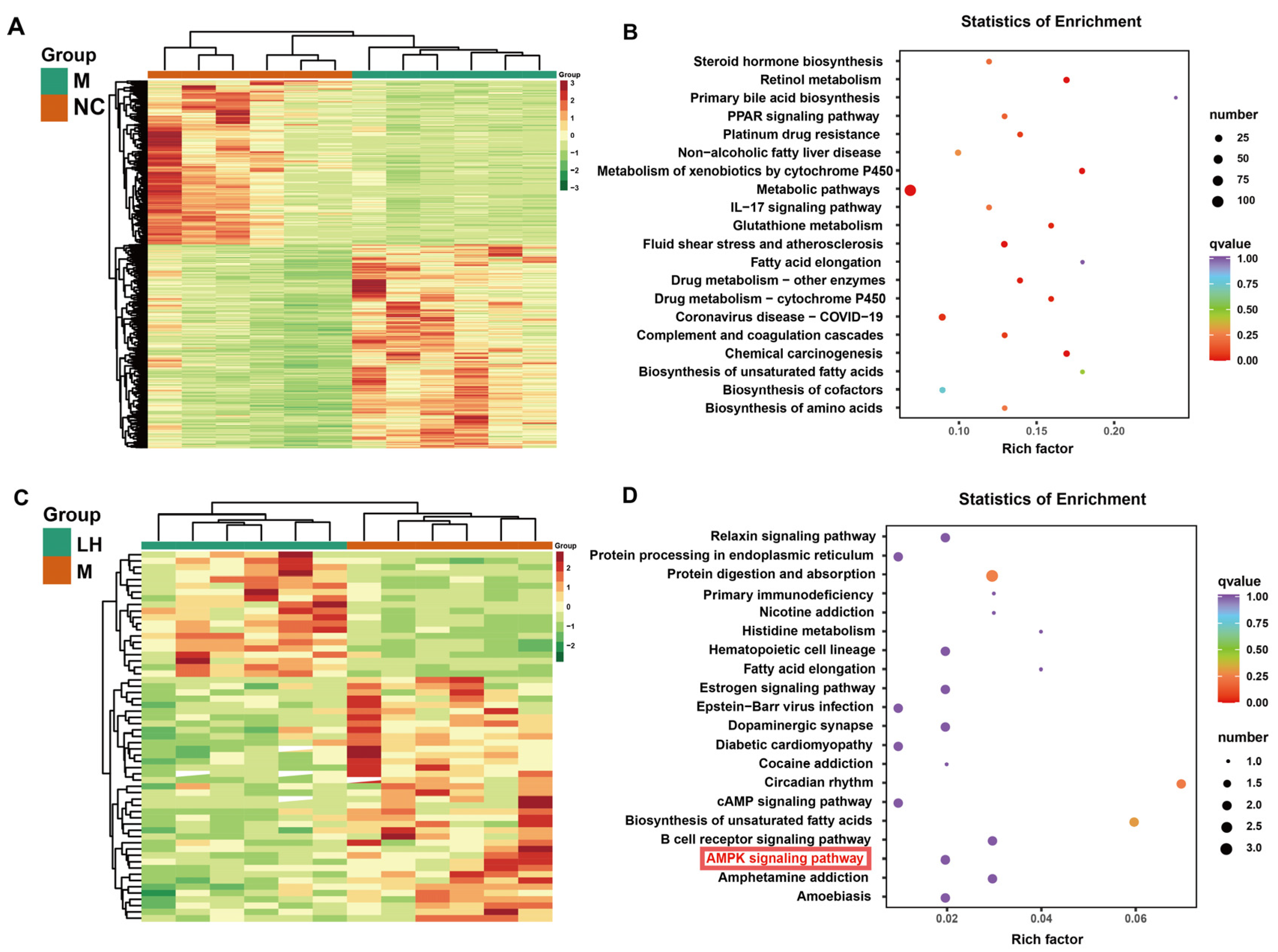 Ijms 25 10855 g005 Ijms 25 10855 g005