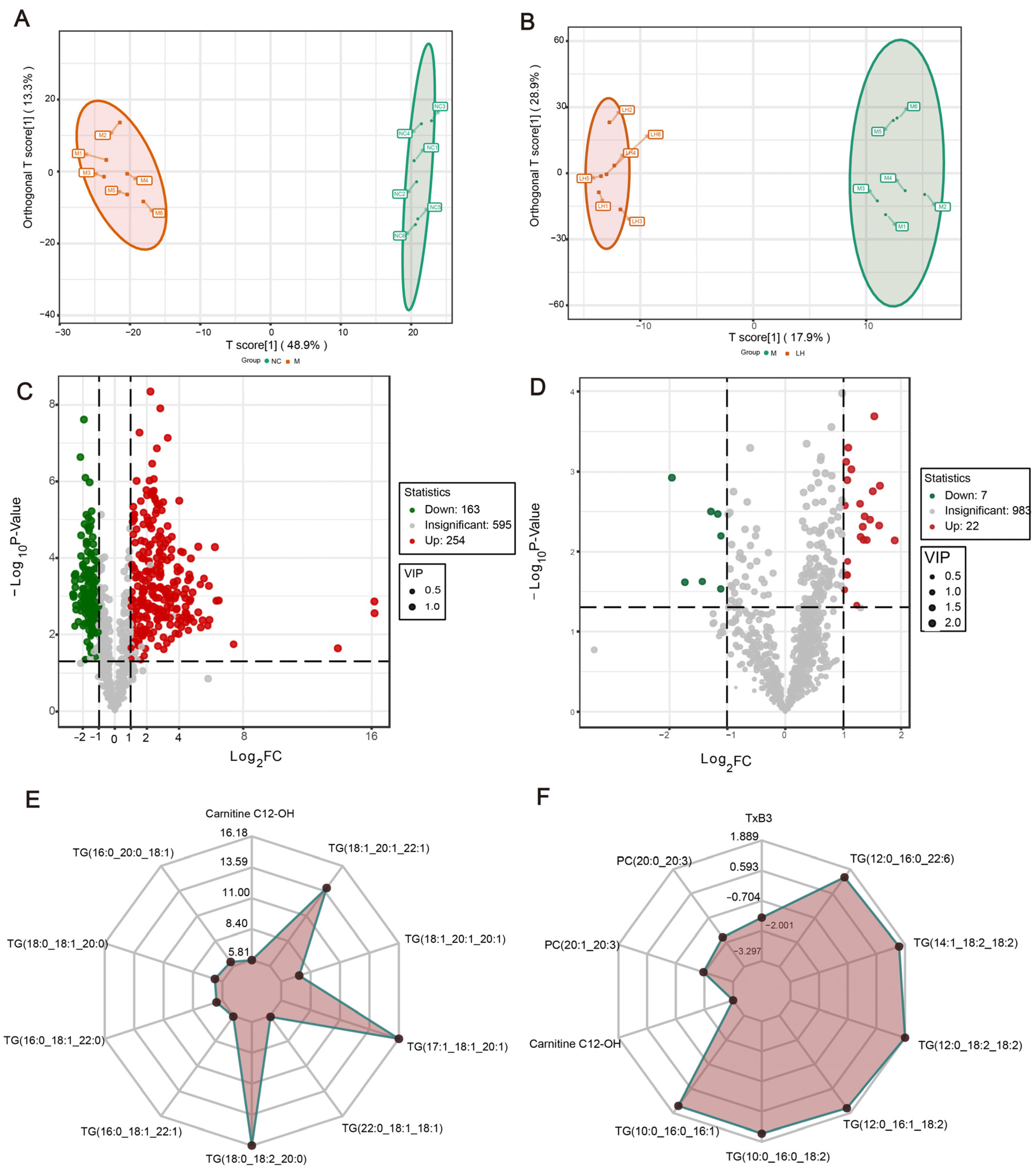Ijms 25 10855 g006 Ijms 25 10855 g006