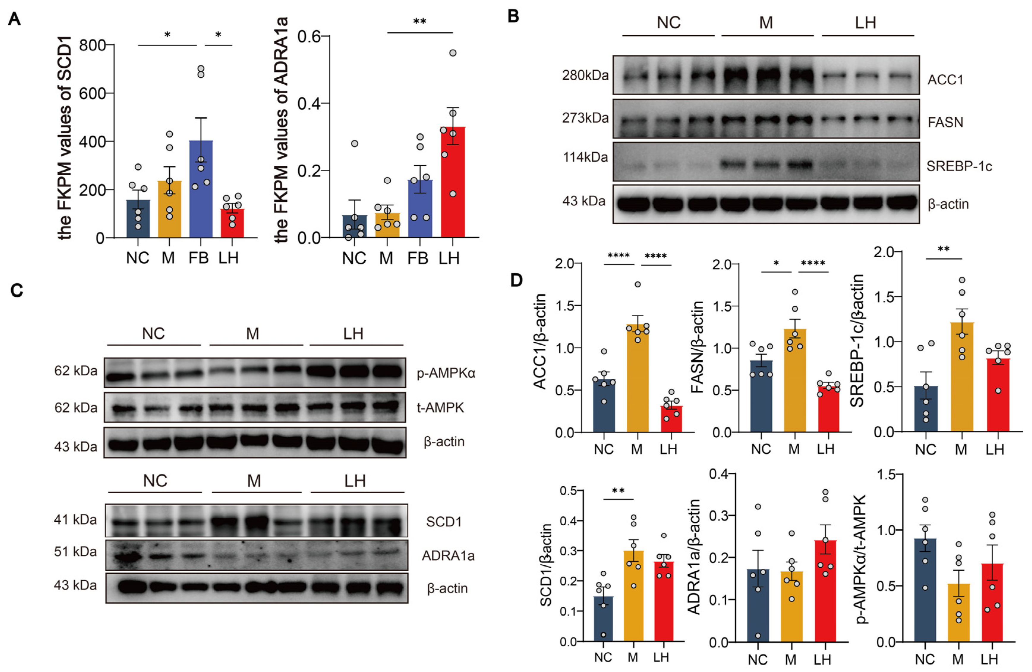 Ijms 25 10855 g008 Ijms 25 10855 g008