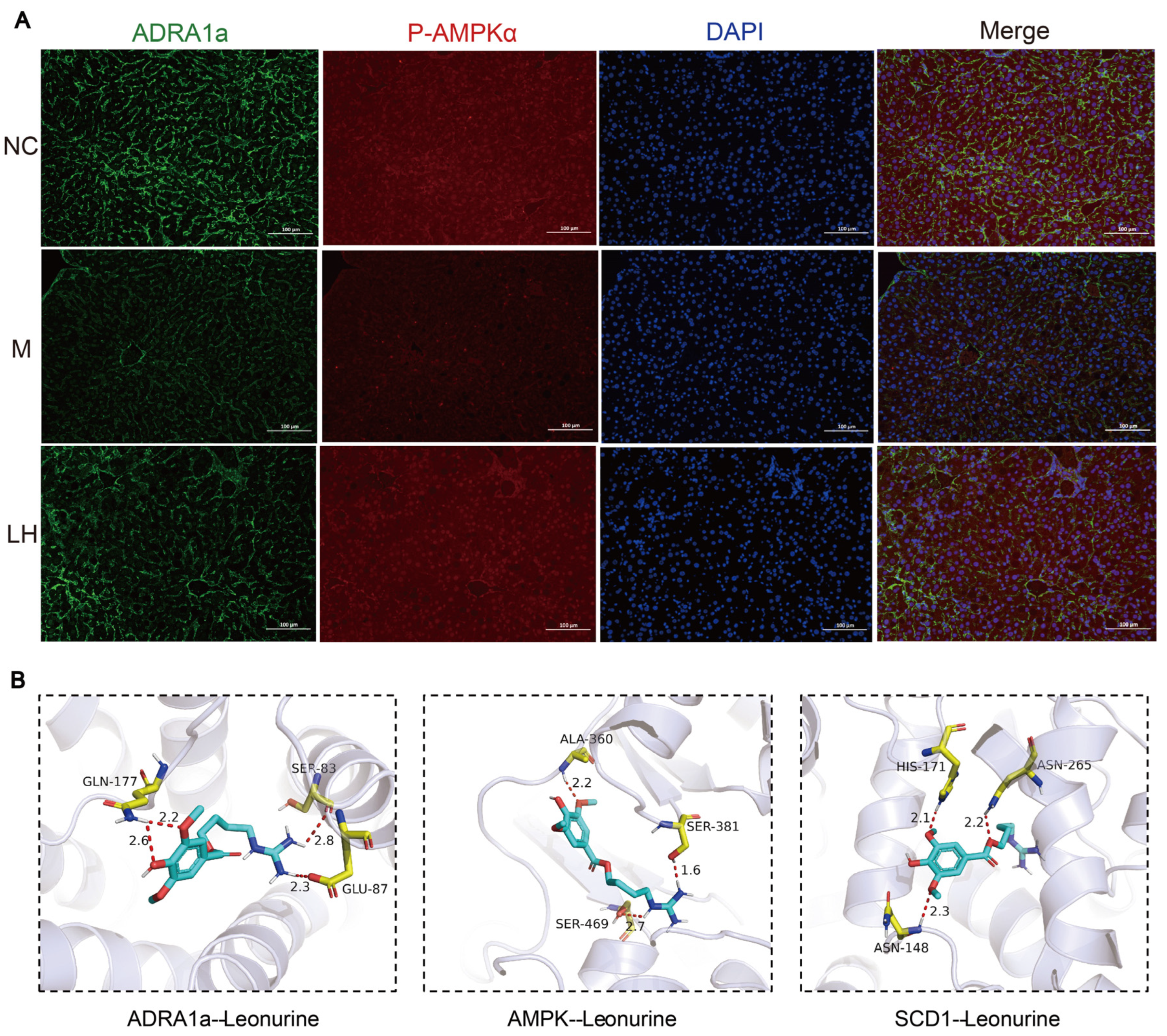 Ijms 25 10855 g009 Ijms 25 10855 g009