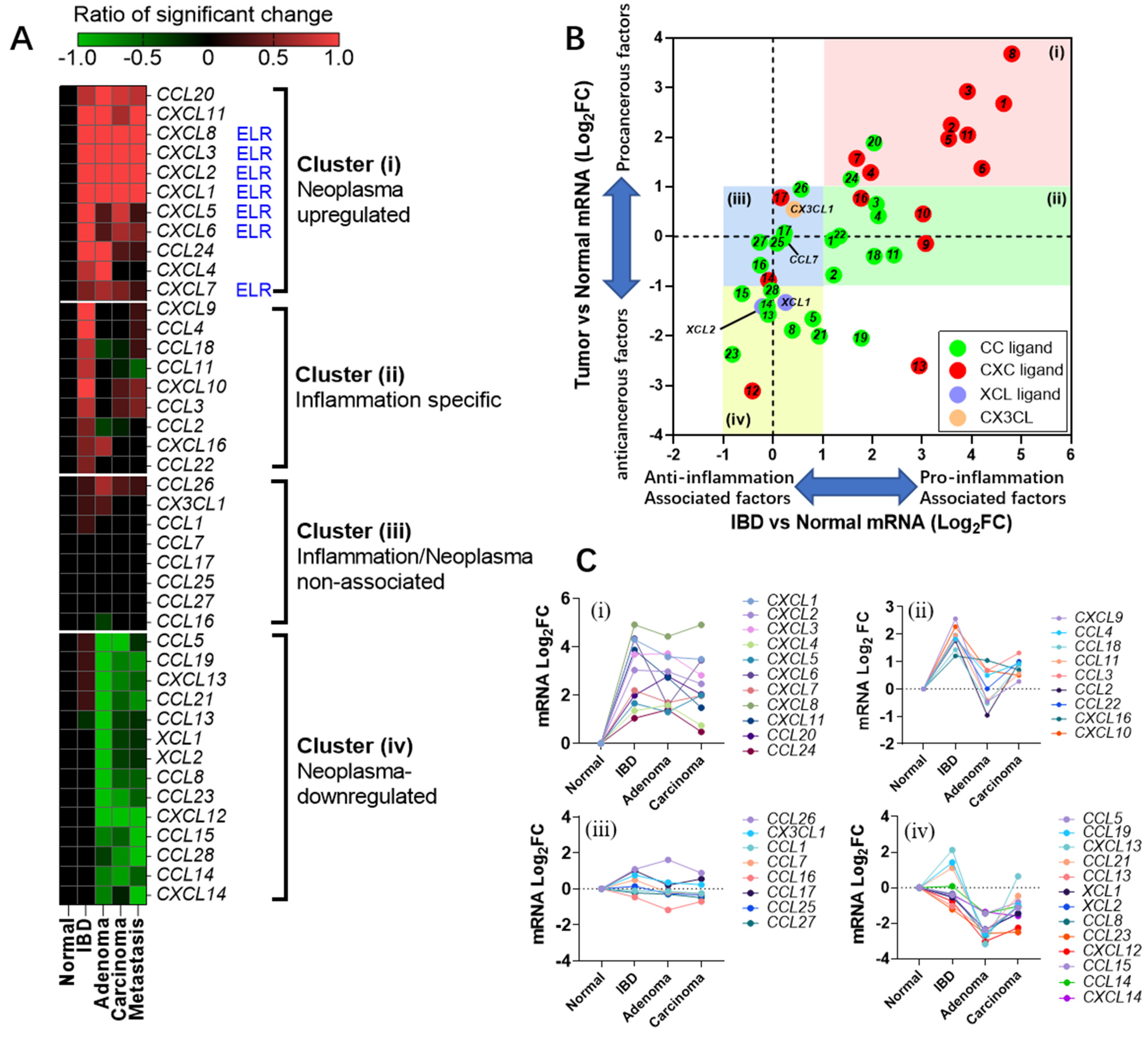 Ijms 25 10857 g001 Ijms 25 10857 g001