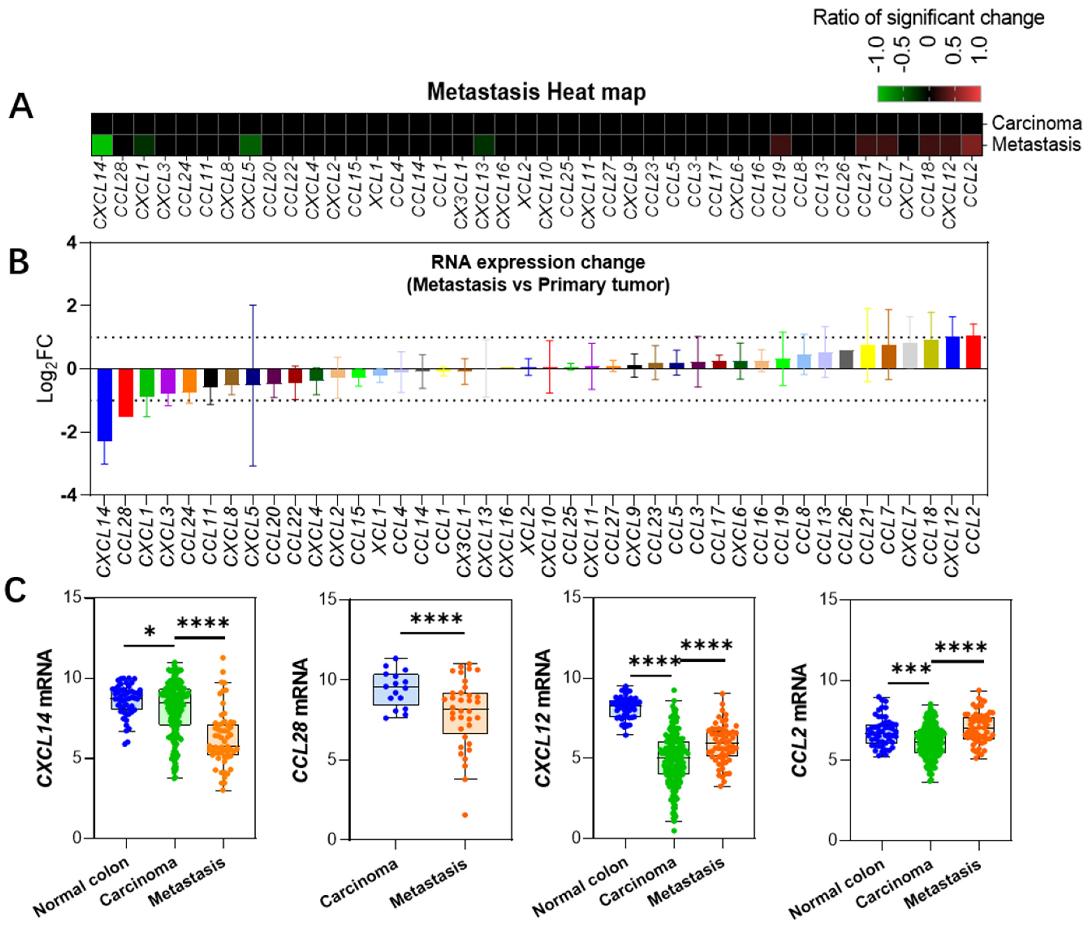 Ijms 25 10857 g002 Ijms 25 10857 g002