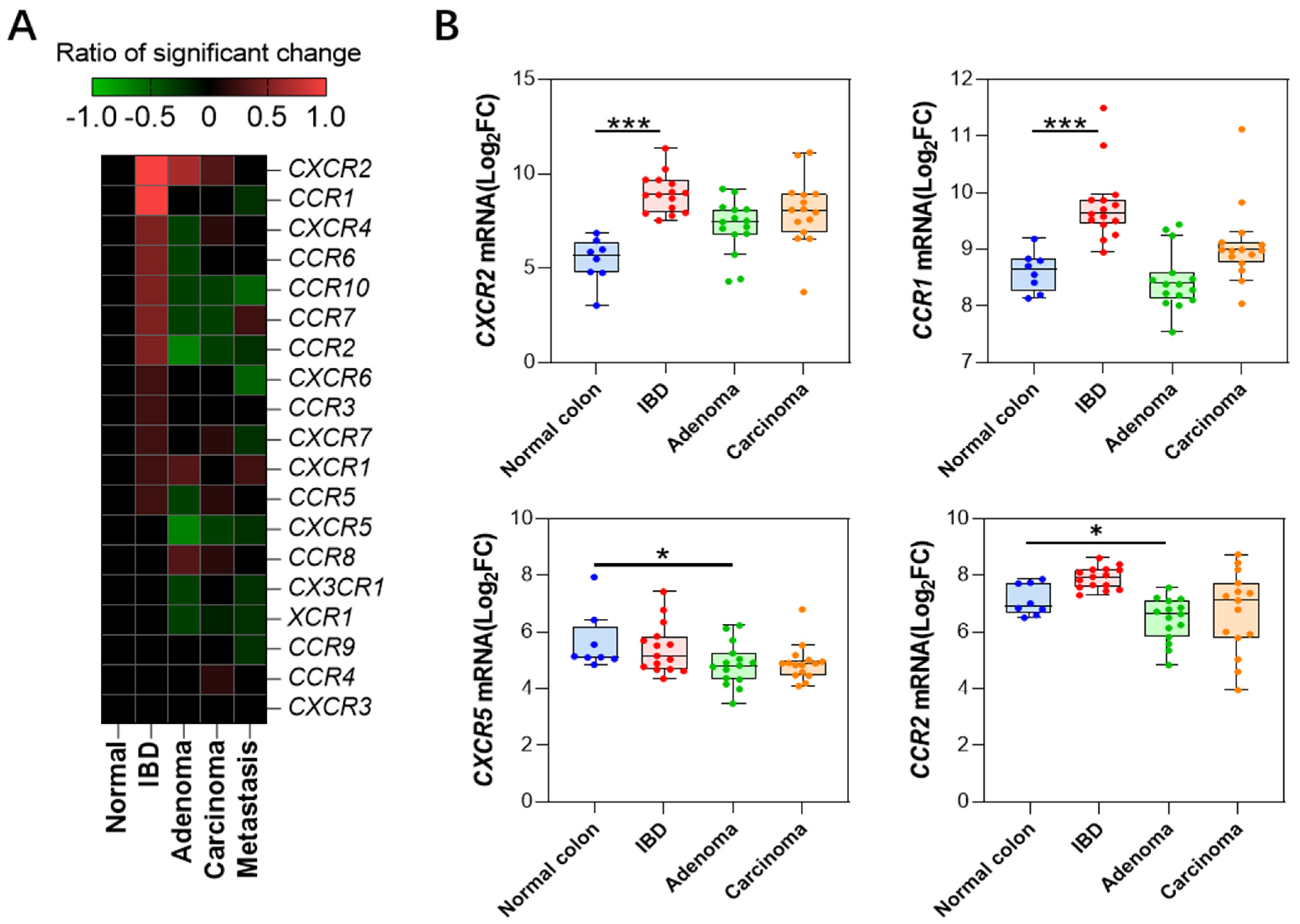 Ijms 25 10857 g003 Ijms 25 10857 g003