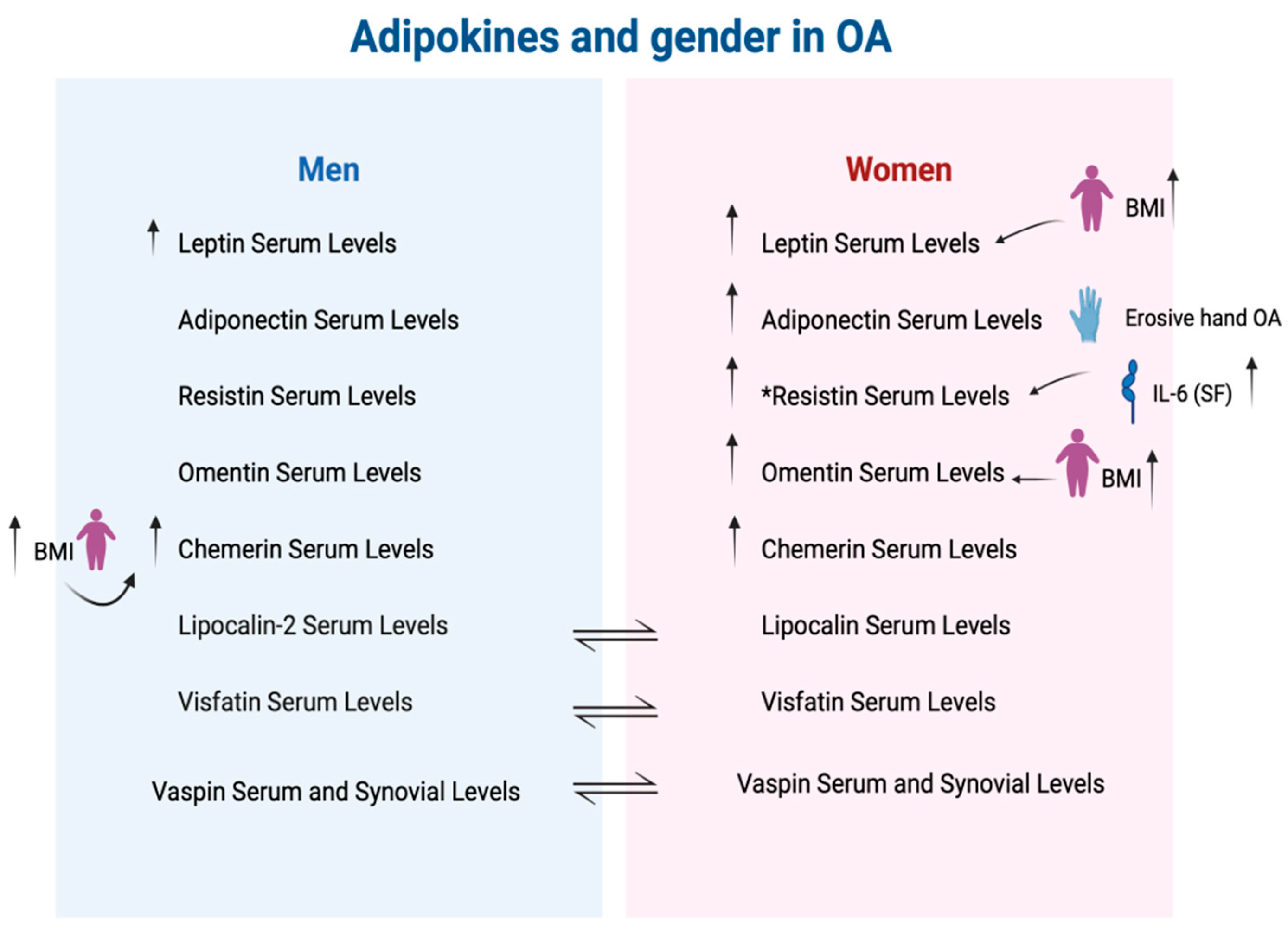 Ijms 25 10865 g003 Ijms 25 10865 g003