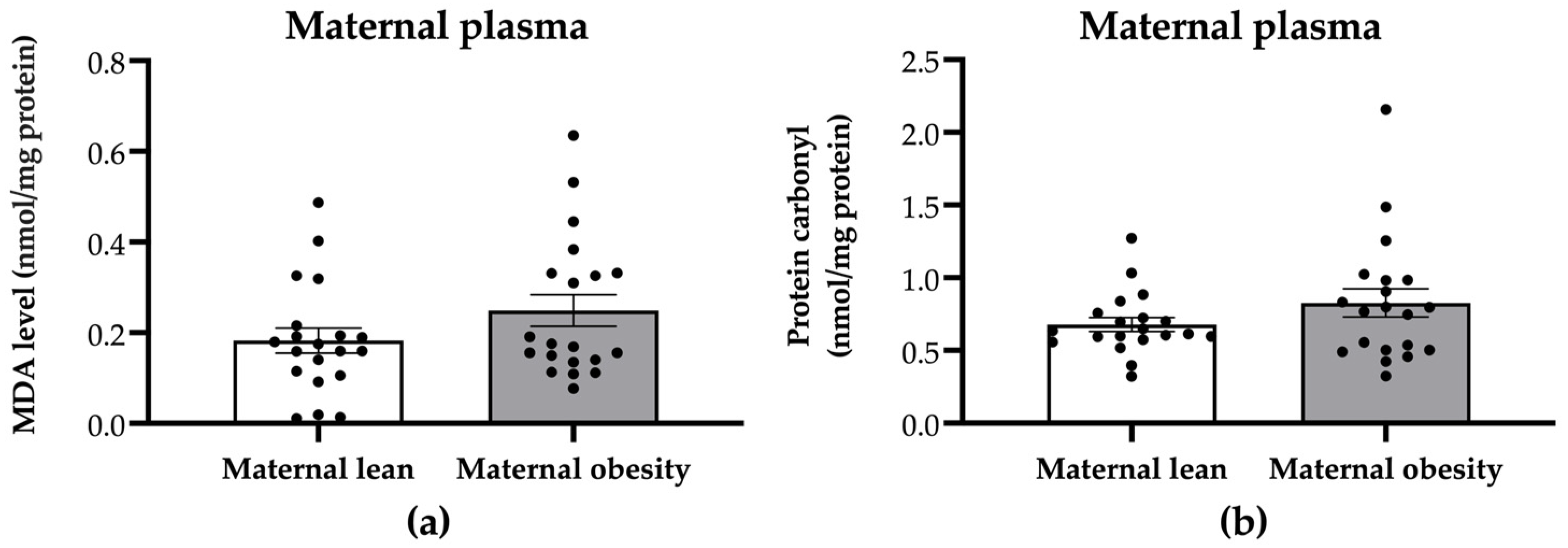 Ijms 25 10866 g002 Ijms 25 10866 g002