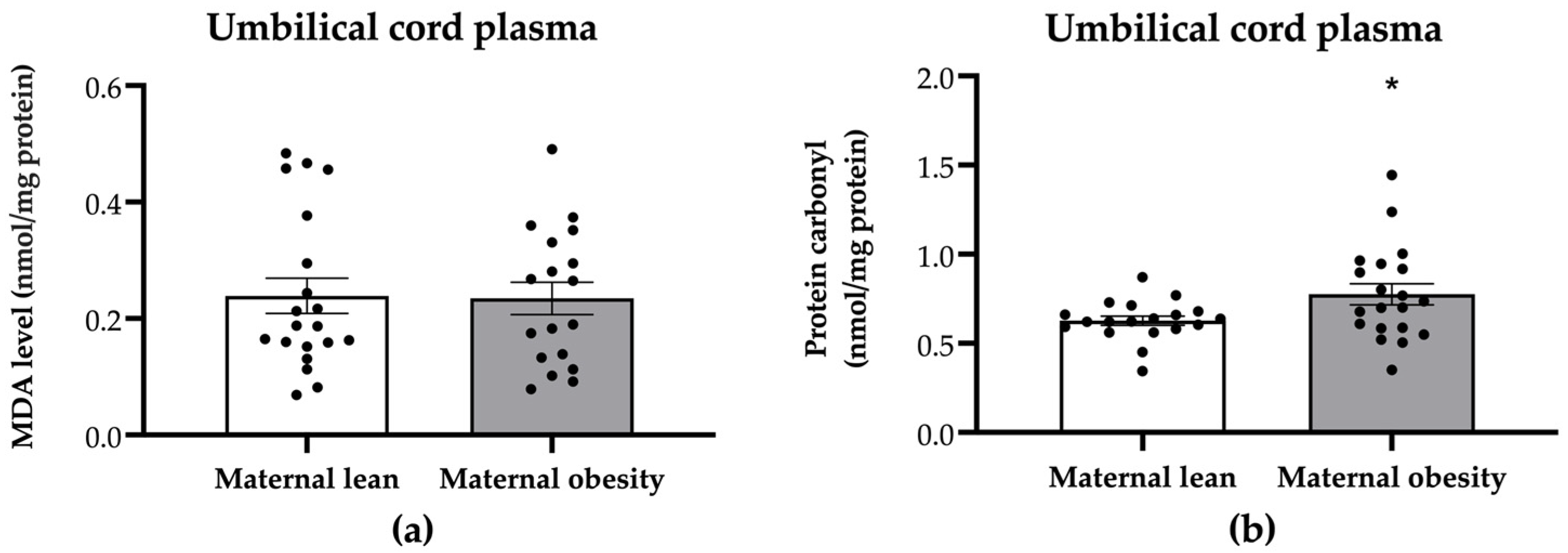 Ijms 25 10866 g004 Ijms 25 10866 g004