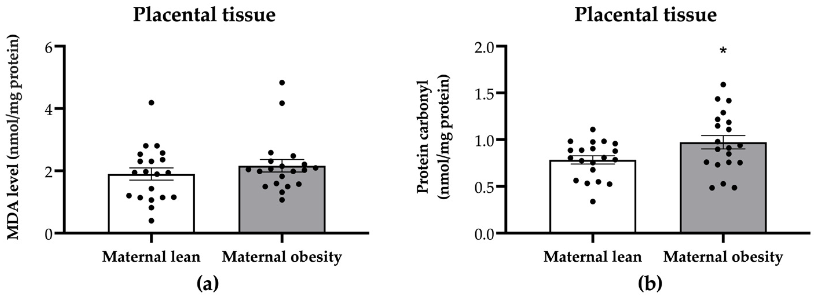 Ijms 25 10866 g006 Ijms 25 10866 g006