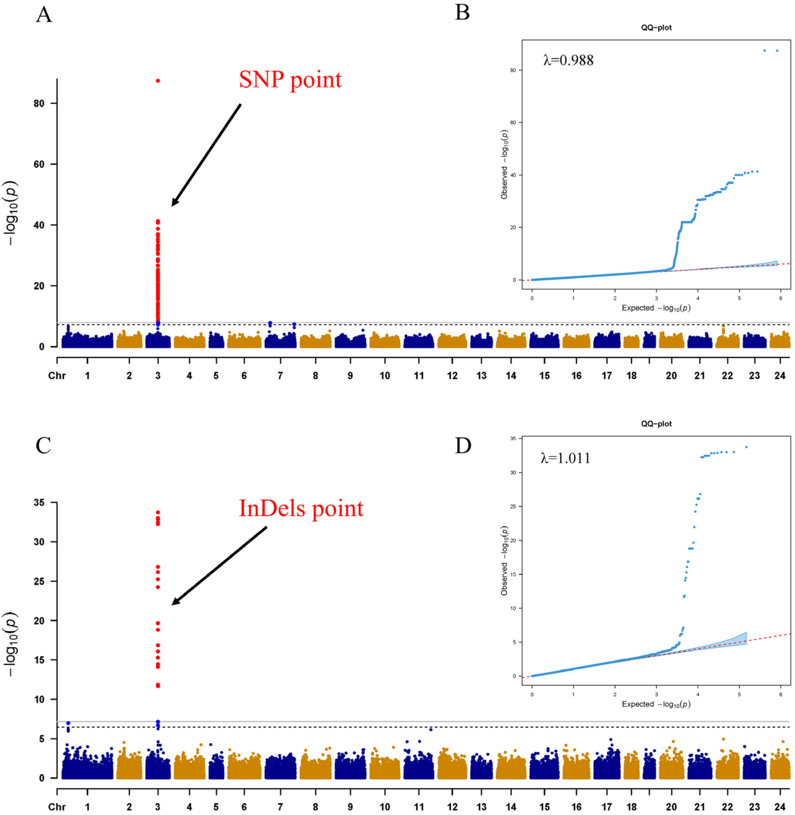 Ijms 25 10889 g002 Ijms 25 10889 g002