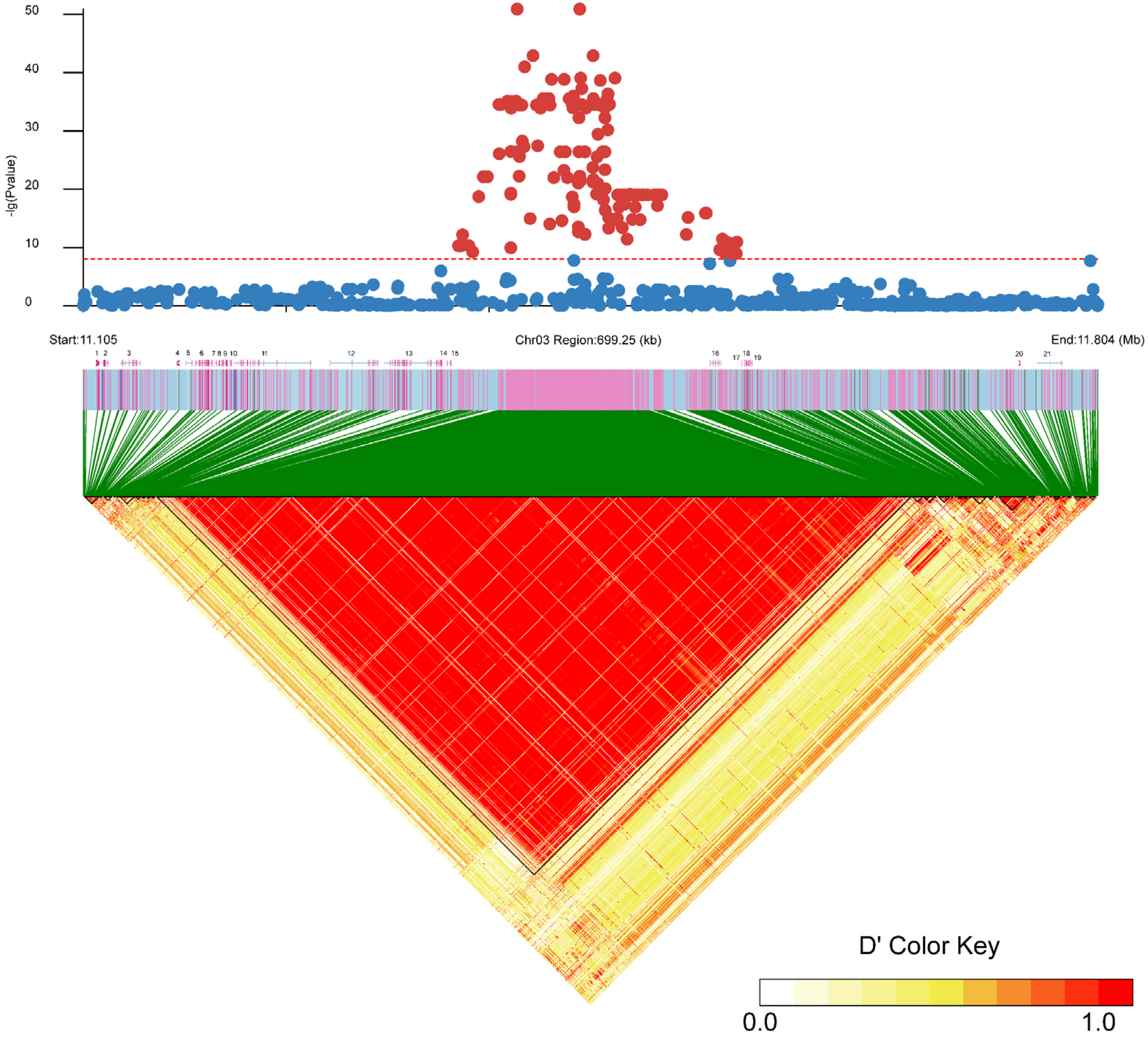 Ijms 25 10889 g003 Ijms 25 10889 g003