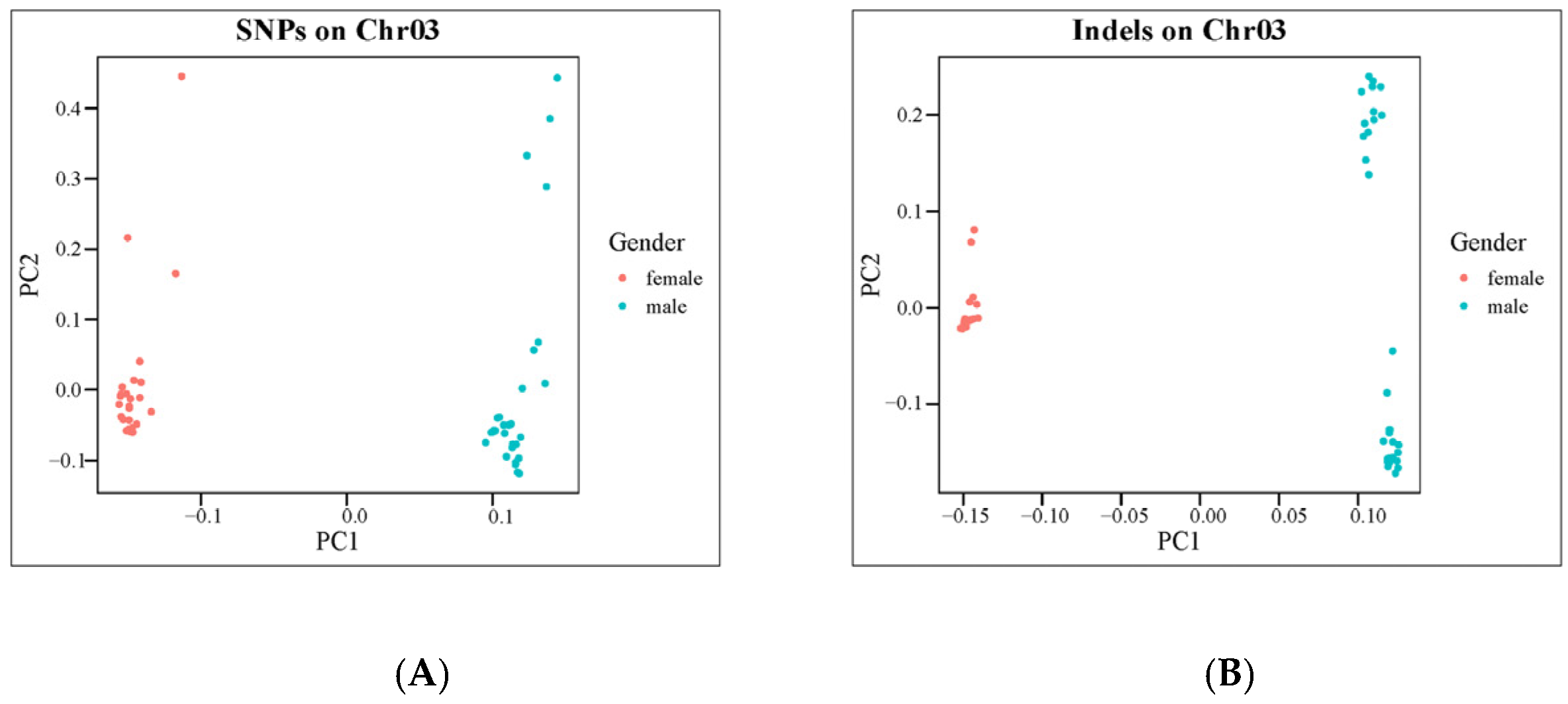 Ijms 25 10889 g005 Ijms 25 10889 g005