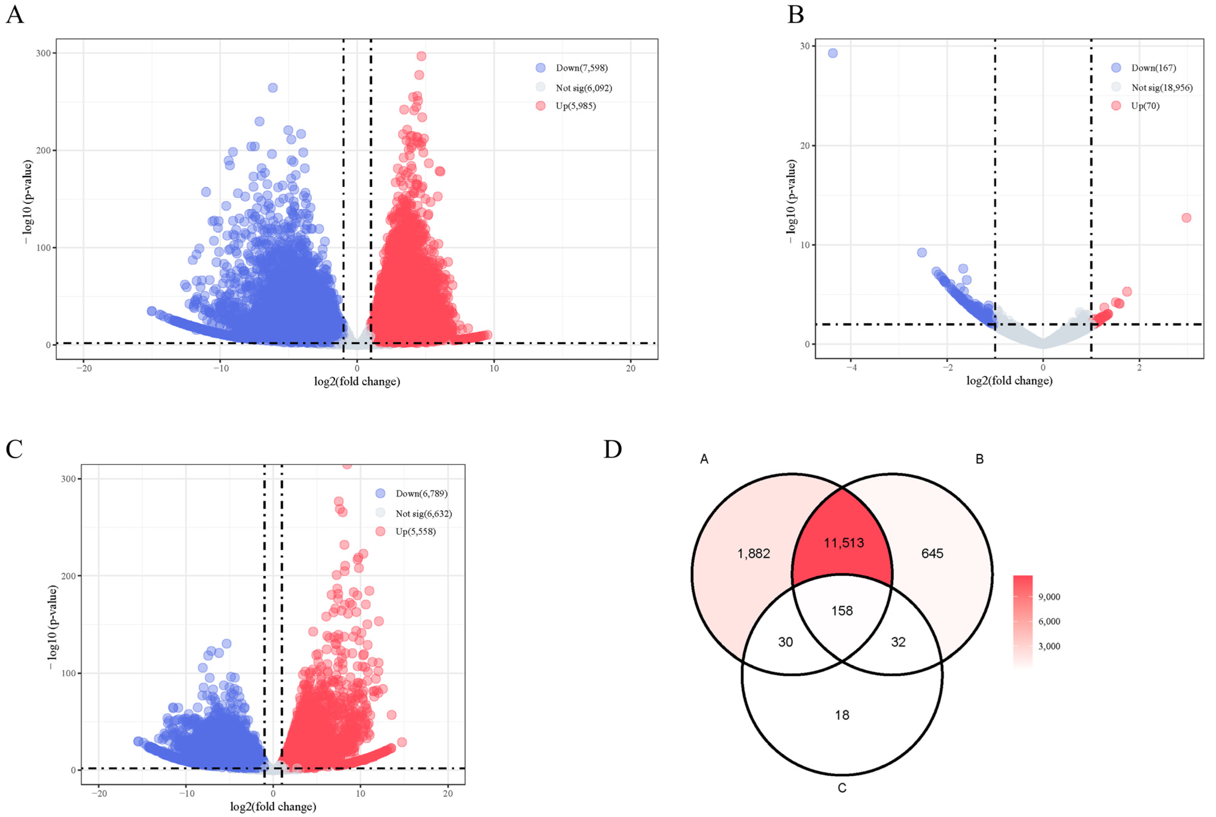 Ijms 25 10889 g007 Ijms 25 10889 g007