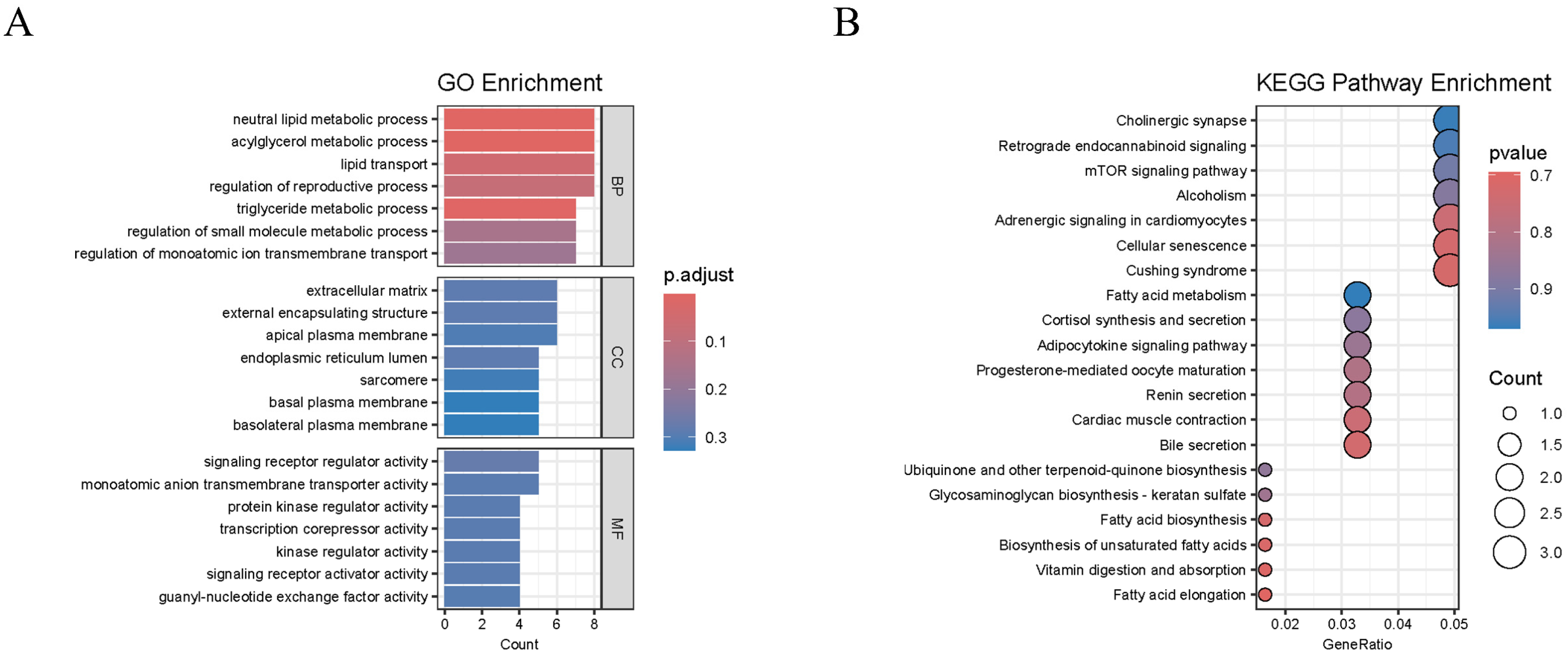 Ijms 25 10889 g008 Ijms 25 10889 g008