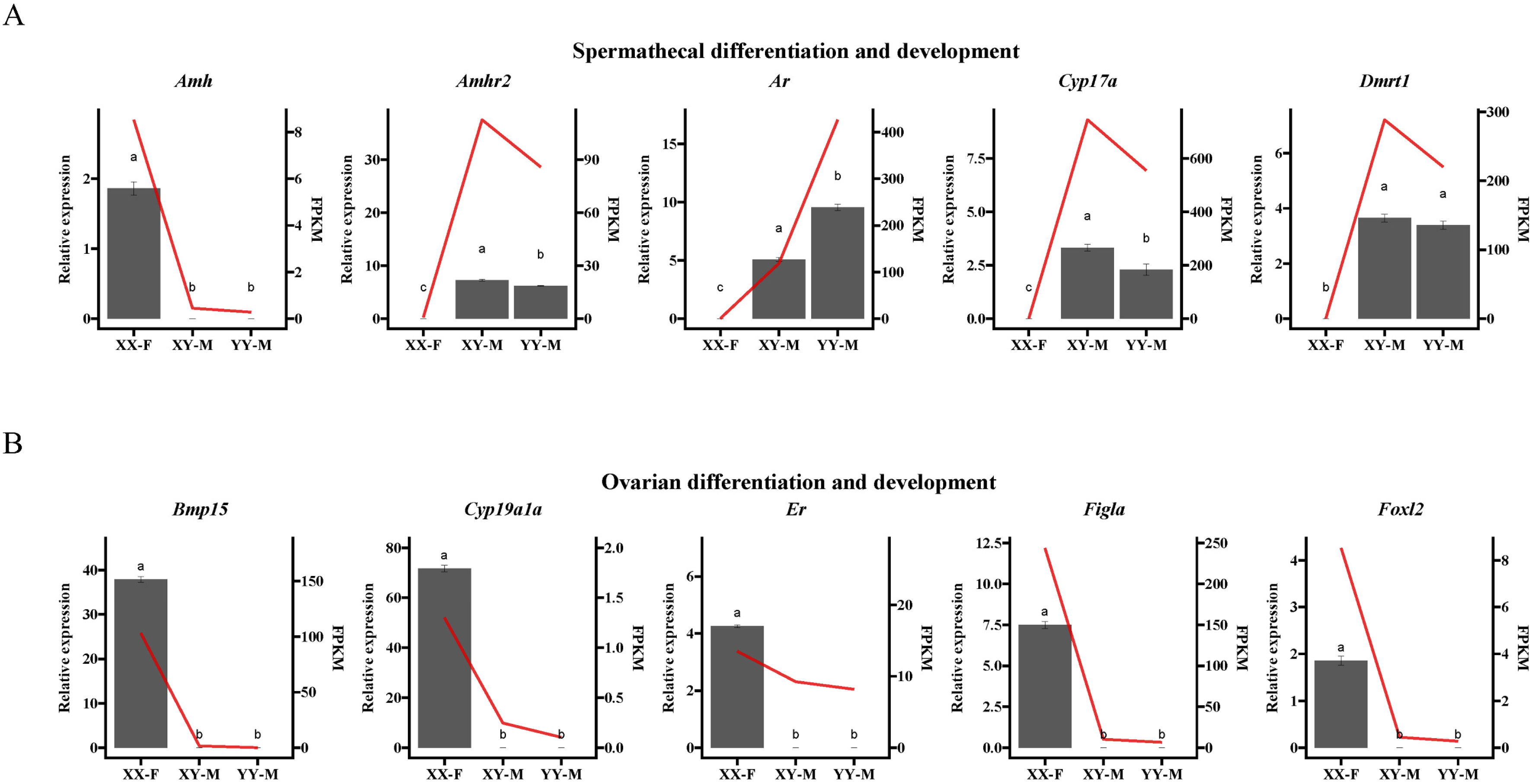 Ijms 25 10889 g009 Ijms 25 10889 g009