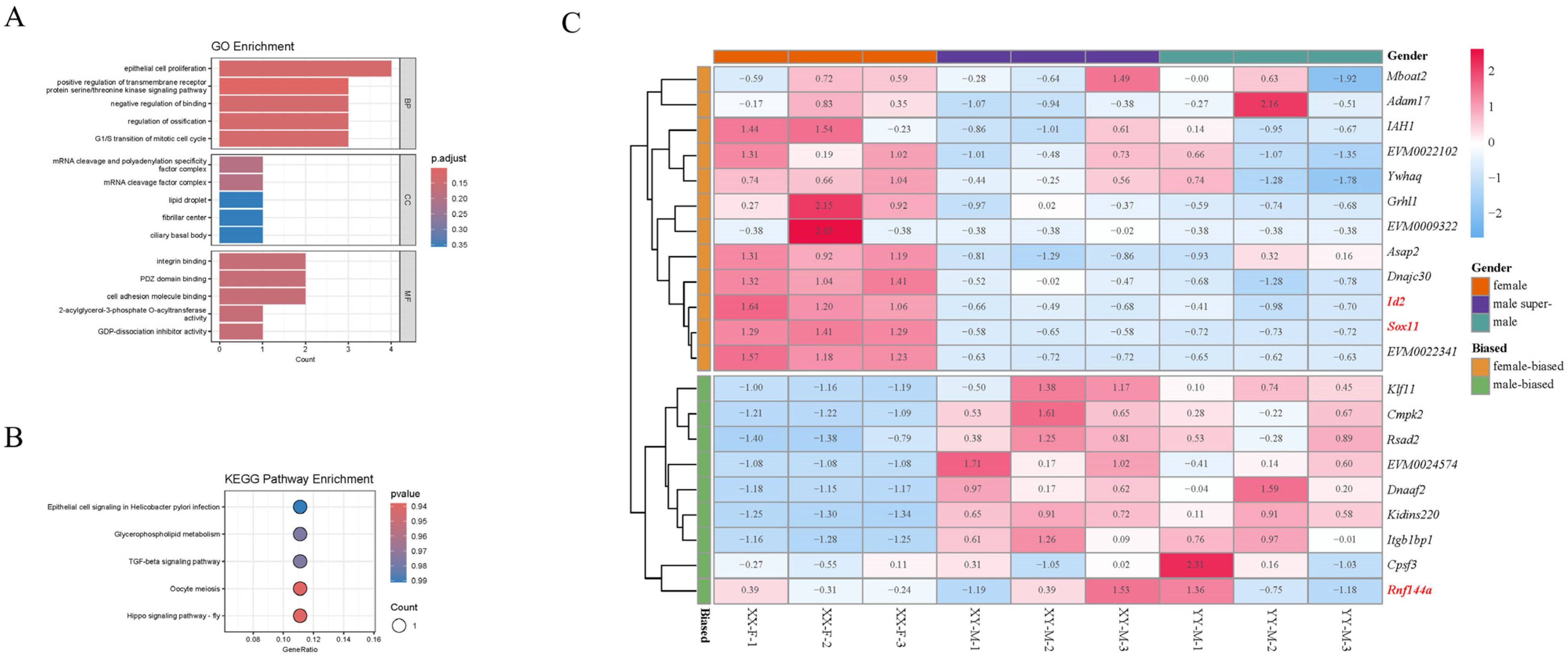 Ijms 25 10889 g010 Ijms 25 10889 g010