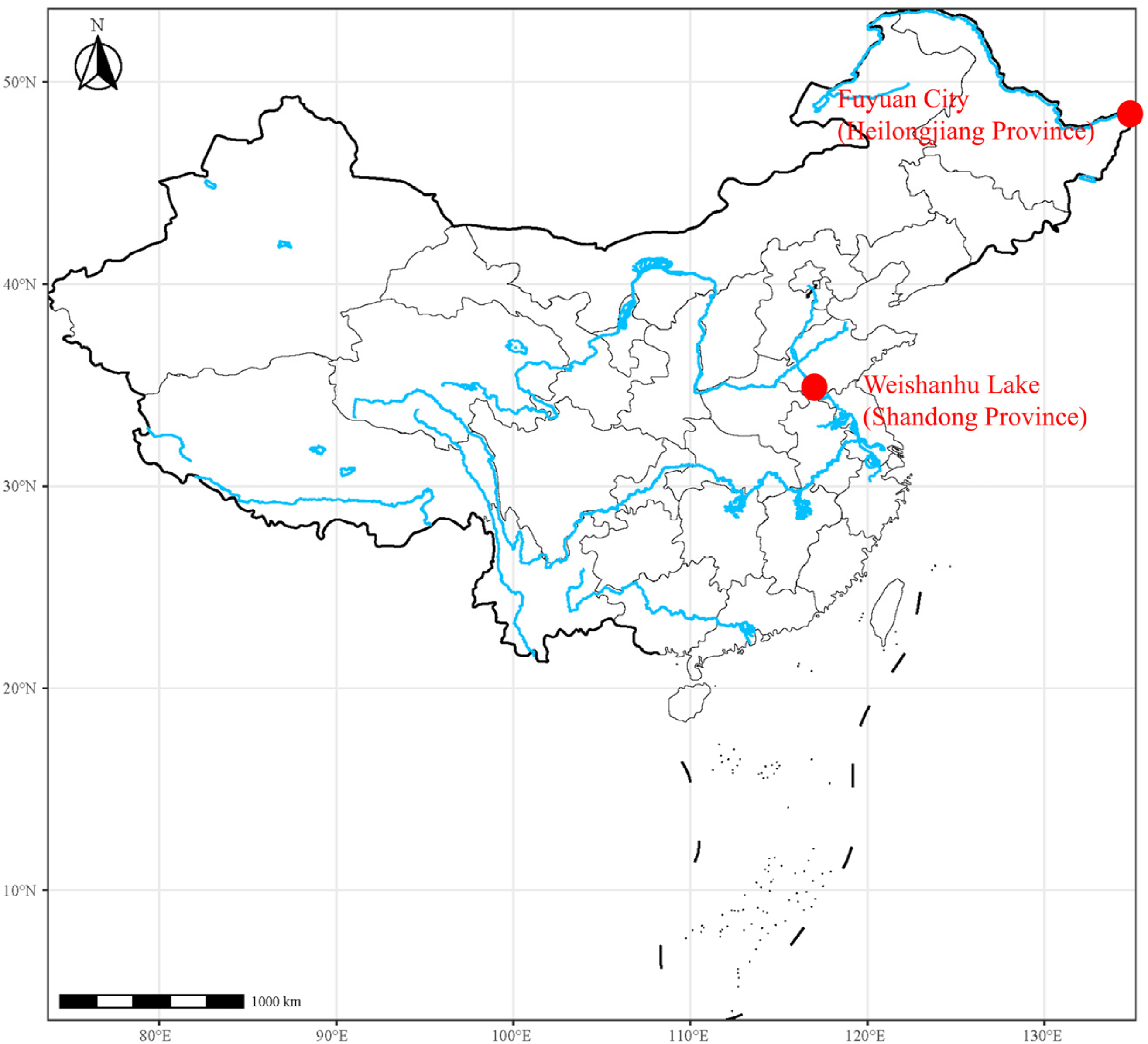 Ijms 25 10889 g012 Ijms 25 10889 g012