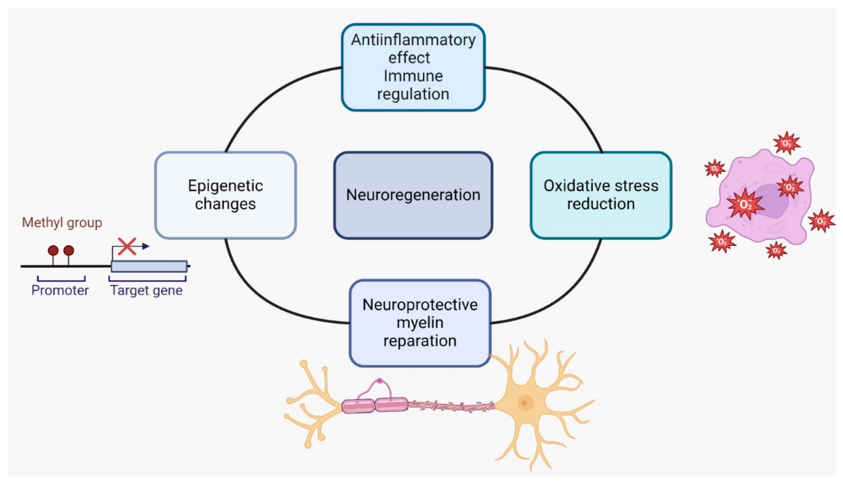 Ijms 25 10909 g003 Ijms 25 10909 g003