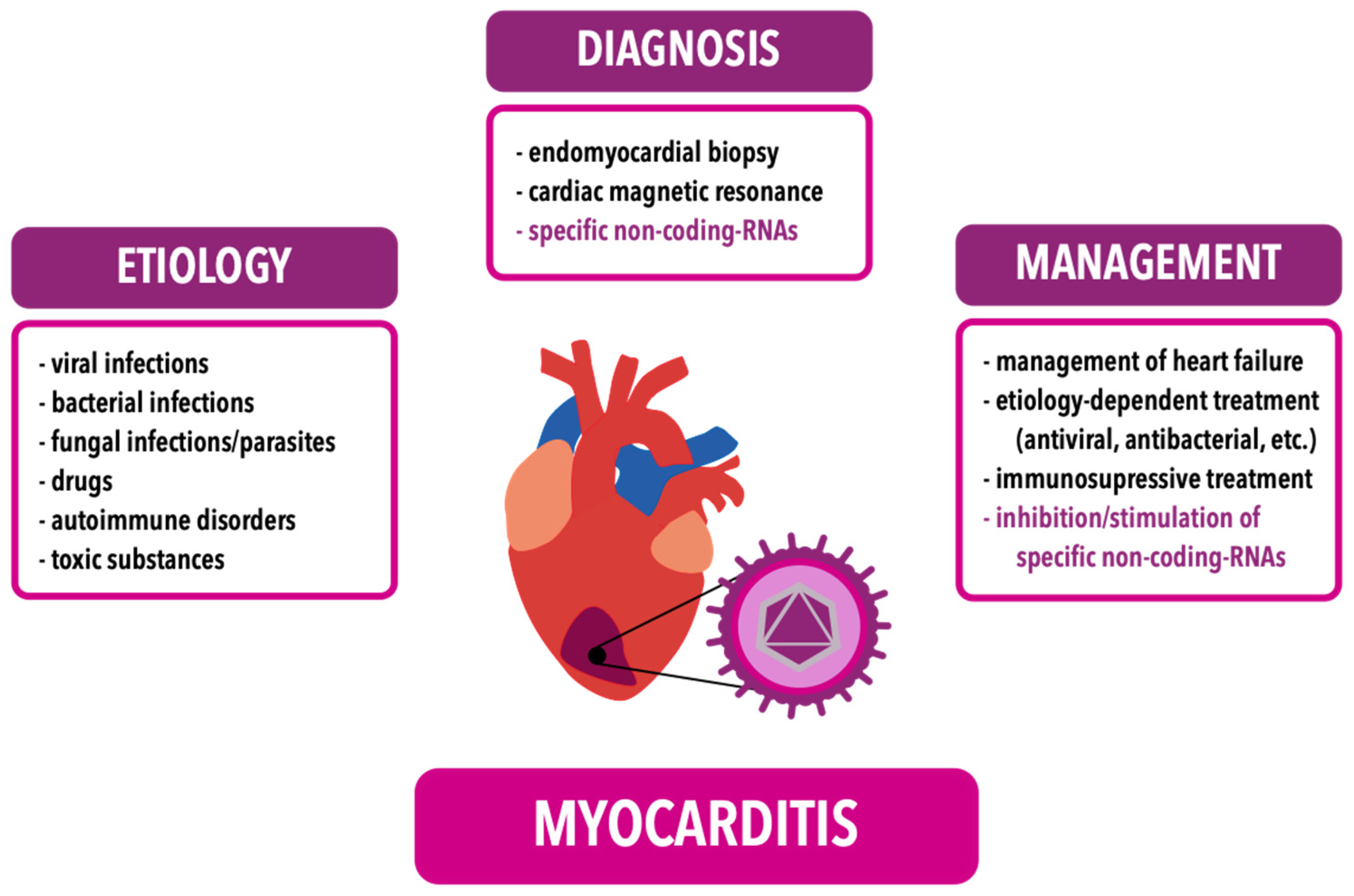 Ijms 25 10933 g001 Ijms 25 10933 g001