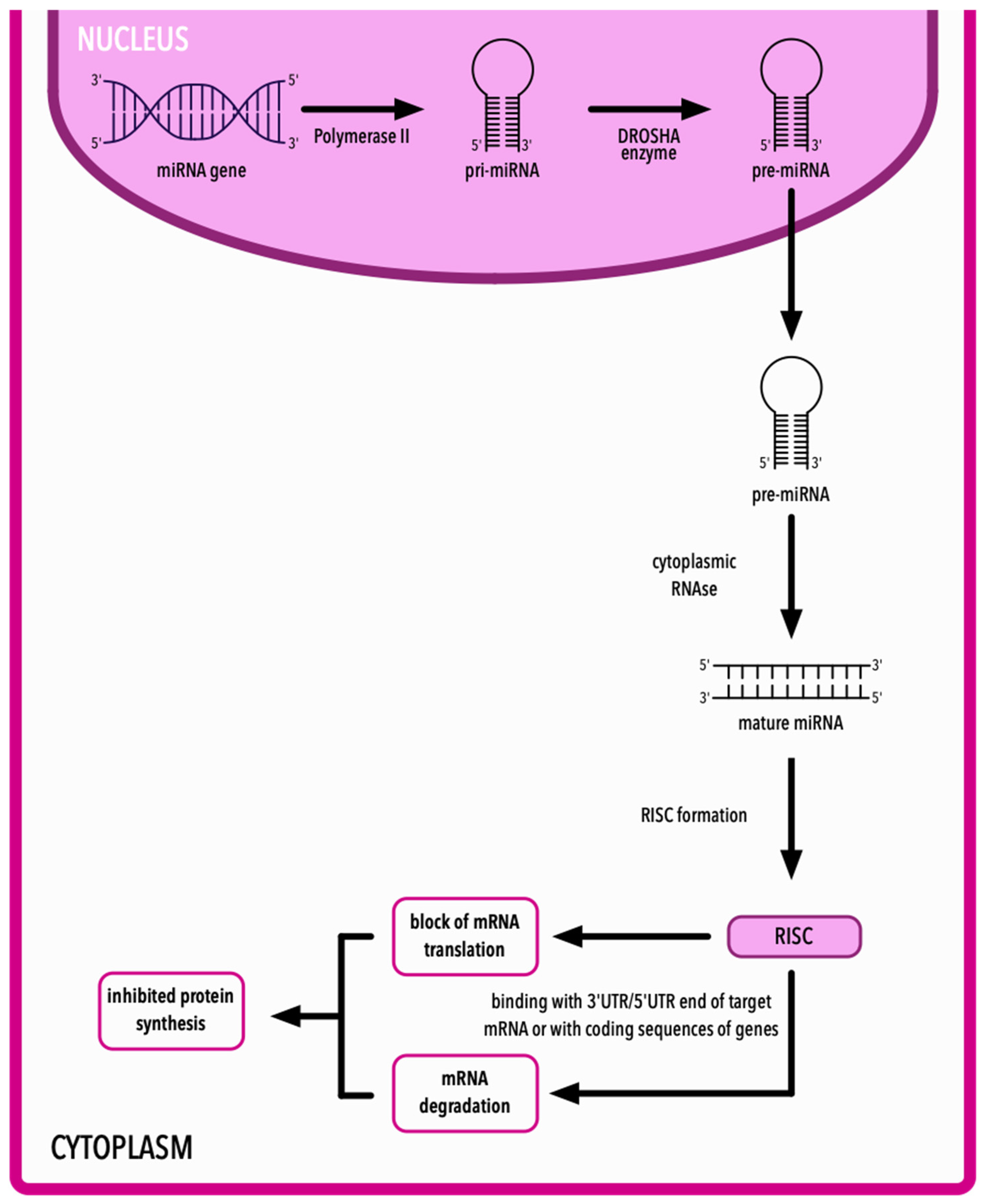 Ijms 25 10933 g002 Ijms 25 10933 g002