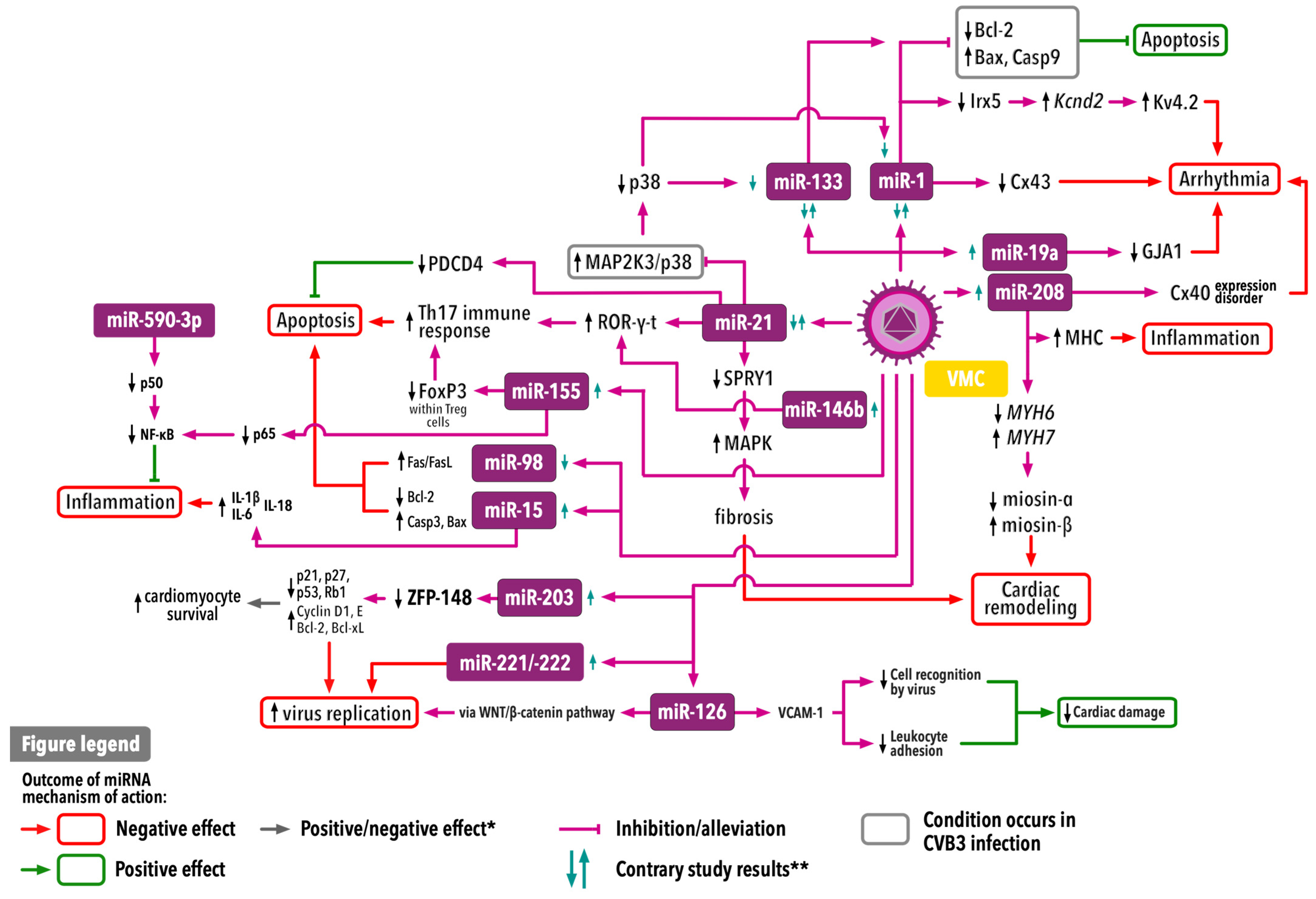 Ijms 25 10933 g003 Ijms 25 10933 g003
