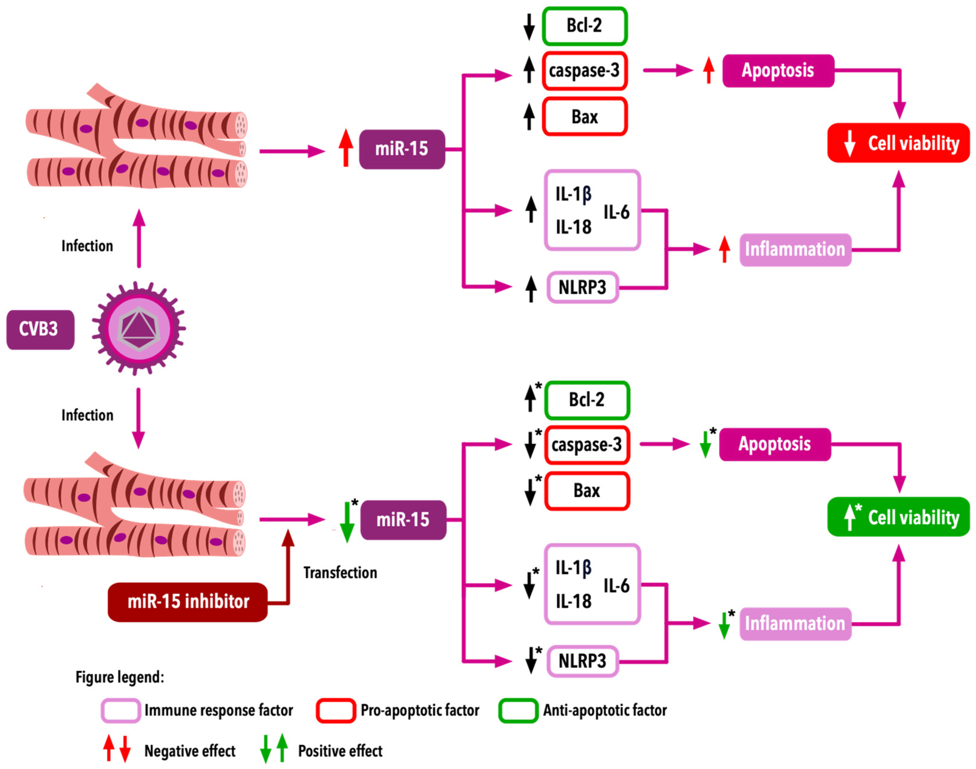Ijms 25 10933 g004 Ijms 25 10933 g004
