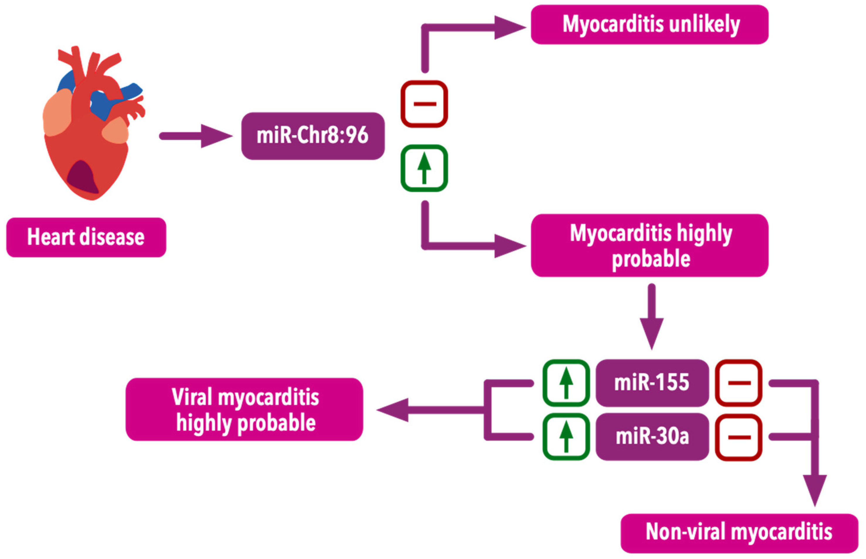 Ijms 25 10933 g005 Ijms 25 10933 g005