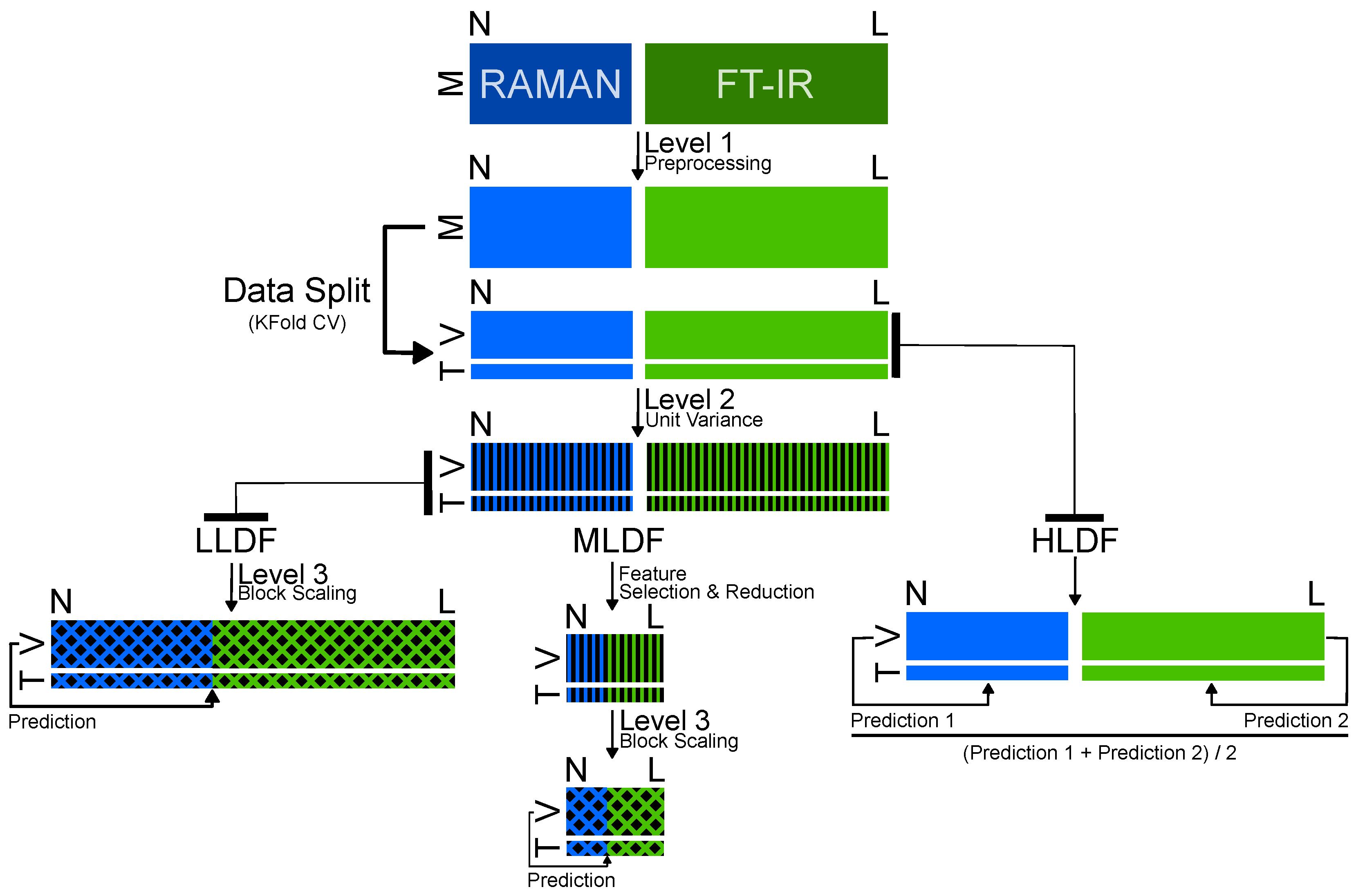 Ijms 25 10936 sch001