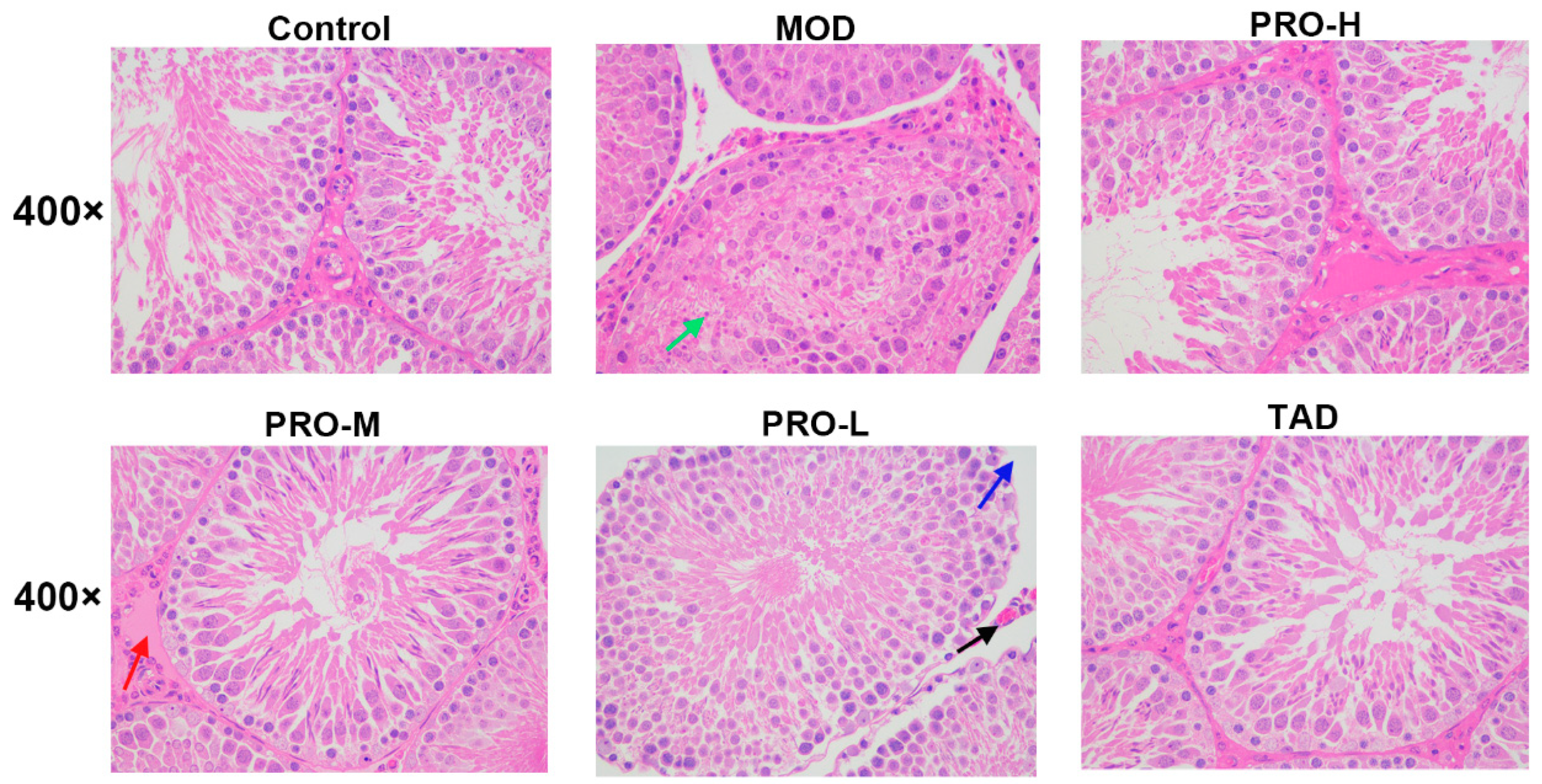 Ijms 25 11004 g006 Ijms 25 11004 g006
