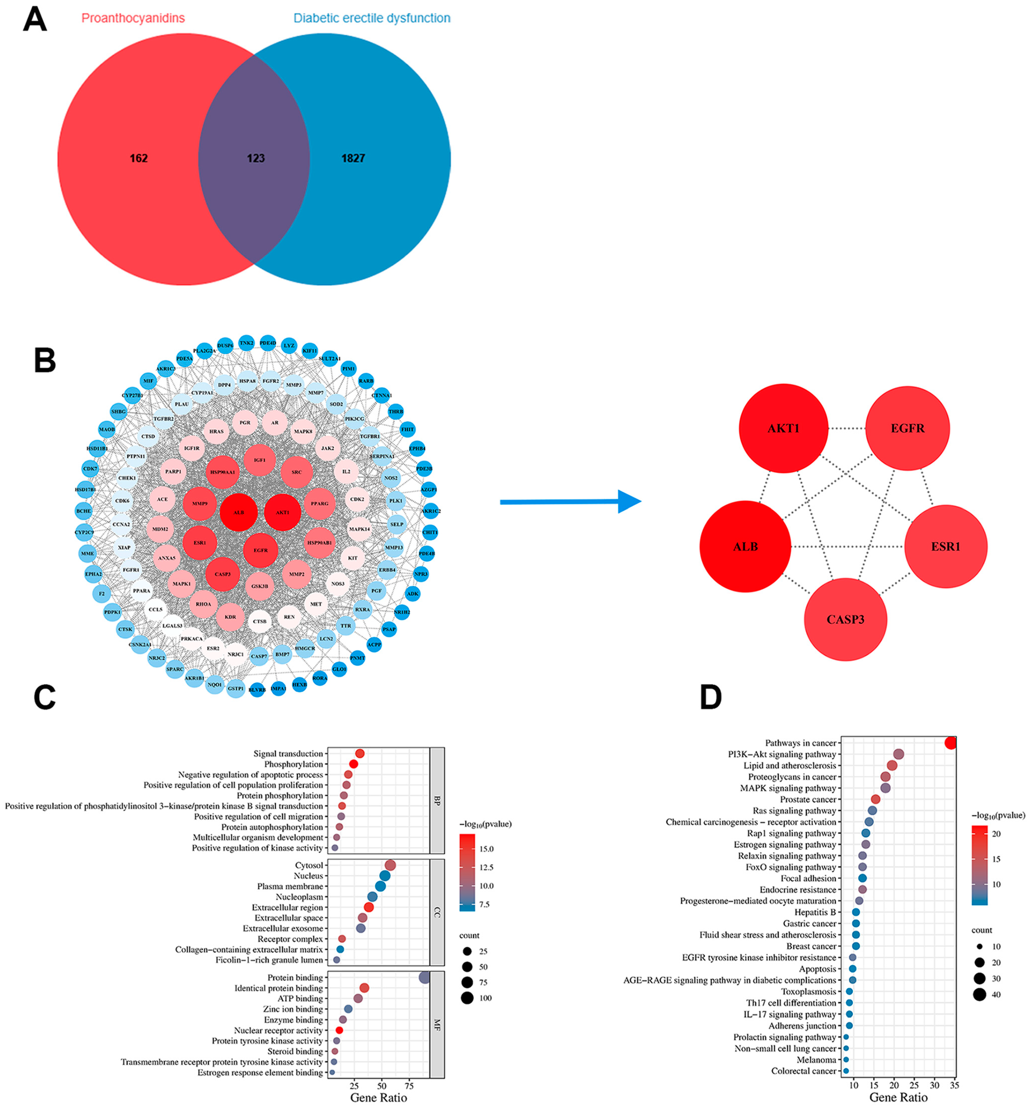 Ijms 25 11004 g007 Ijms 25 11004 g007