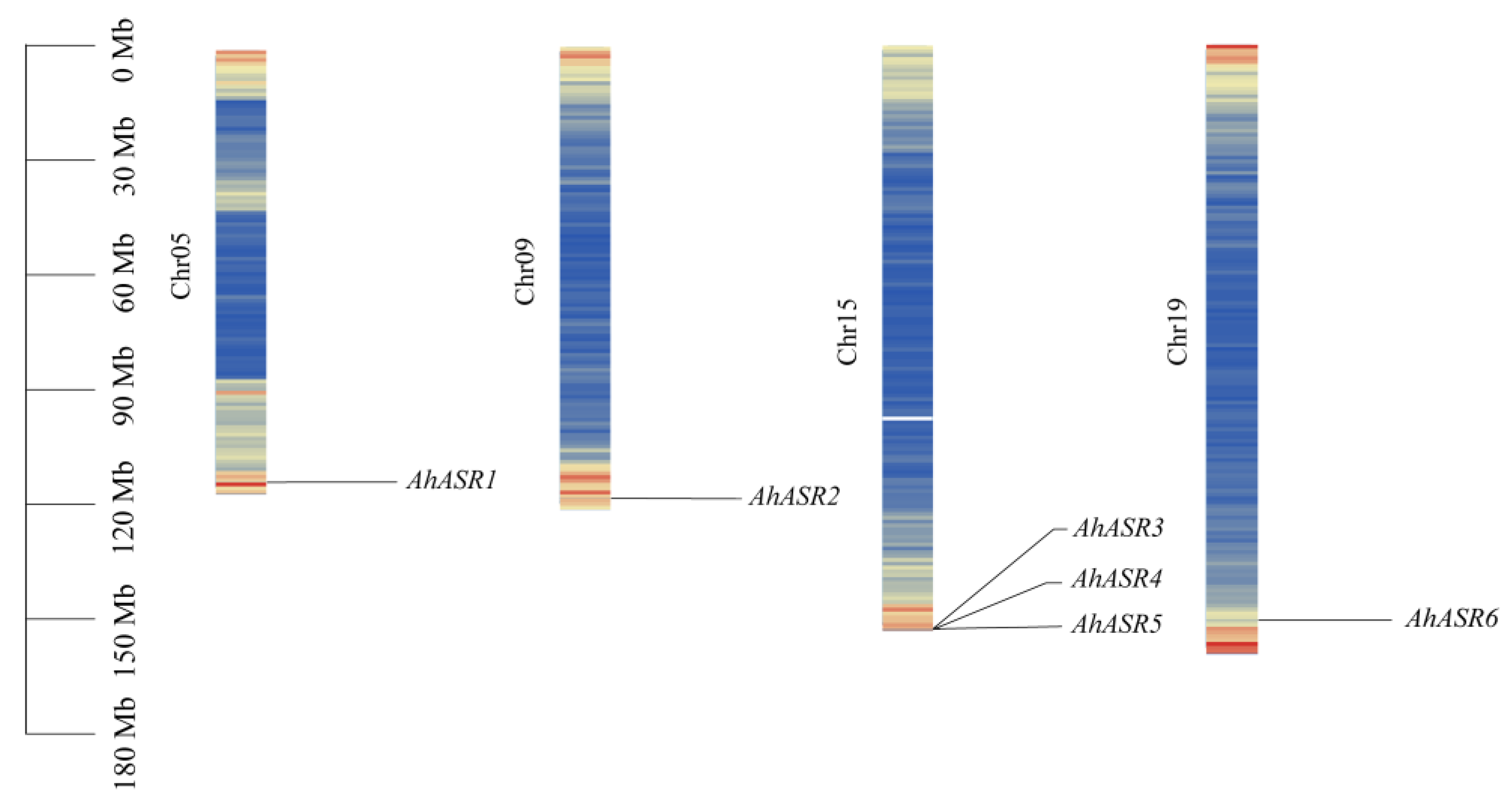 Ijms 25 11008 g001 Ijms 25 11008 g001