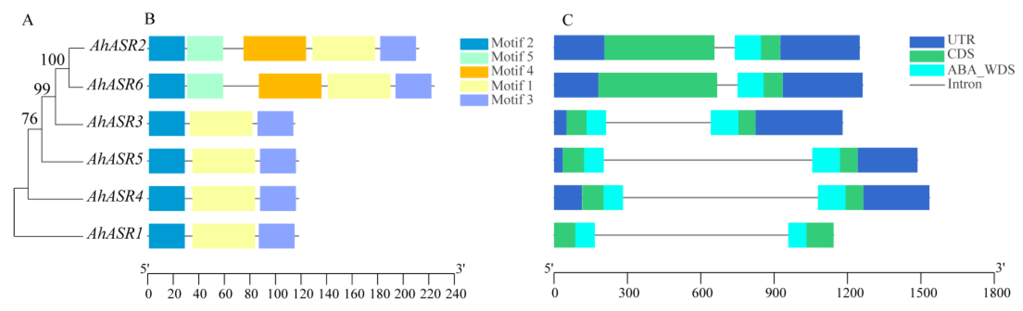 Ijms 25 11008 g003 Ijms 25 11008 g003