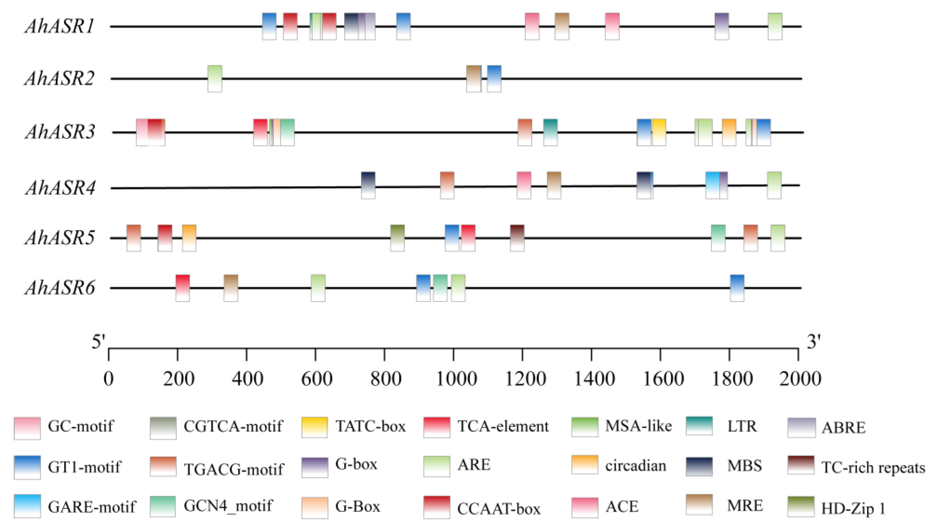 Ijms 25 11008 g005 Ijms 25 11008 g005