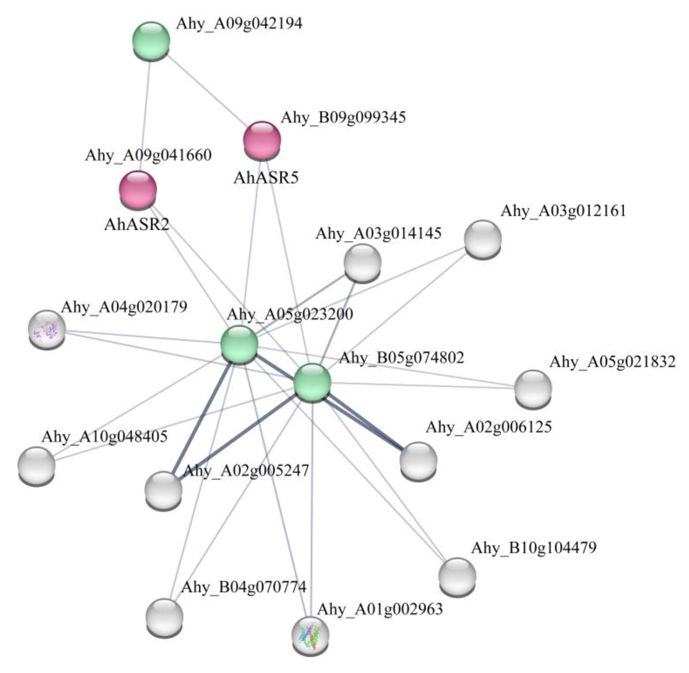 Ijms 25 11008 g007 Ijms 25 11008 g007