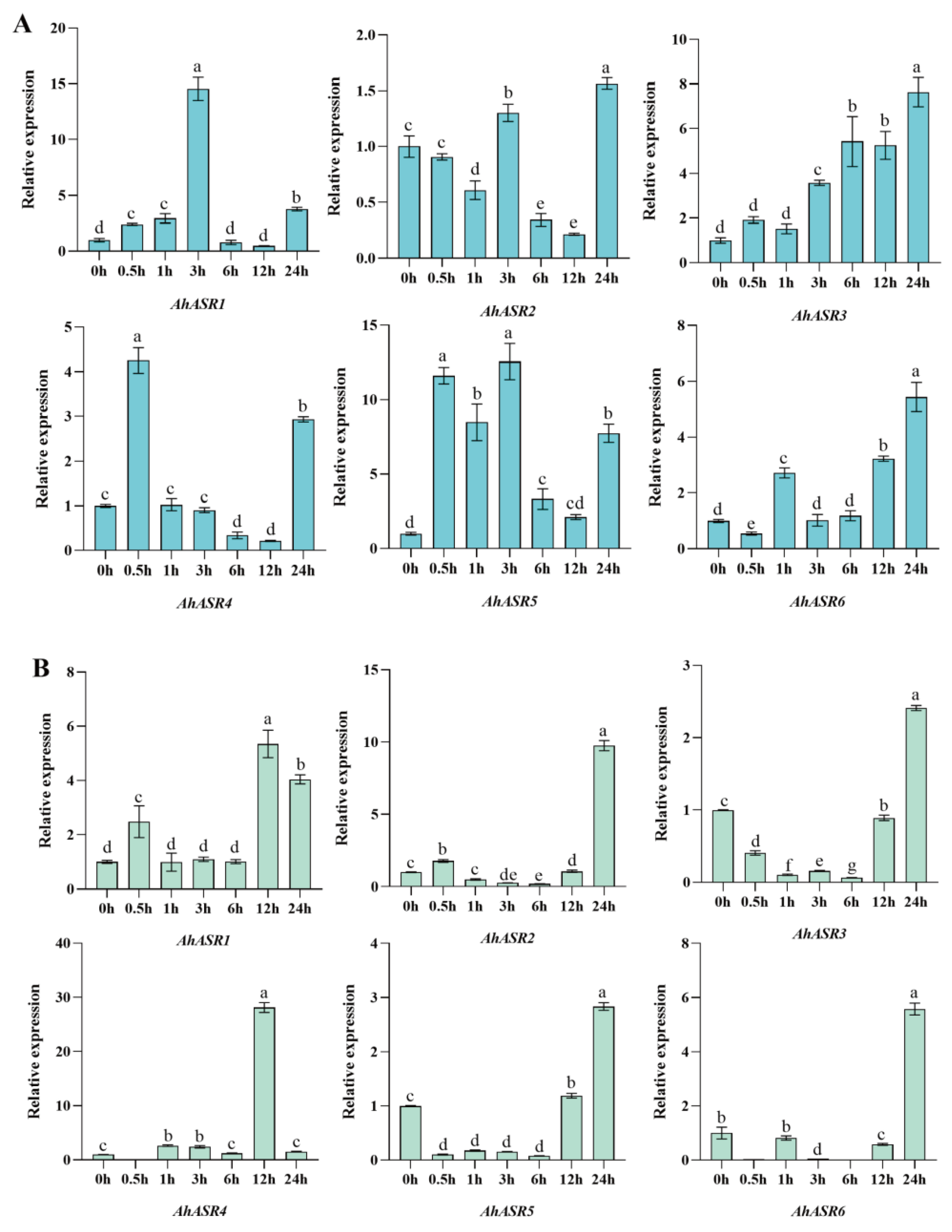 Ijms 25 11008 g011 Ijms 25 11008 g011