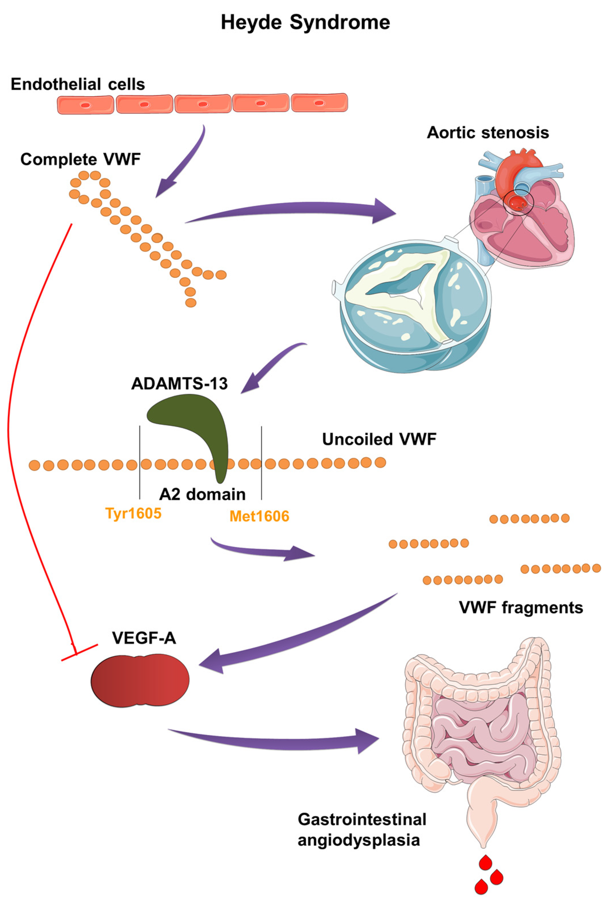 Ijms 25 11041 g003 Ijms 25 11041 g003