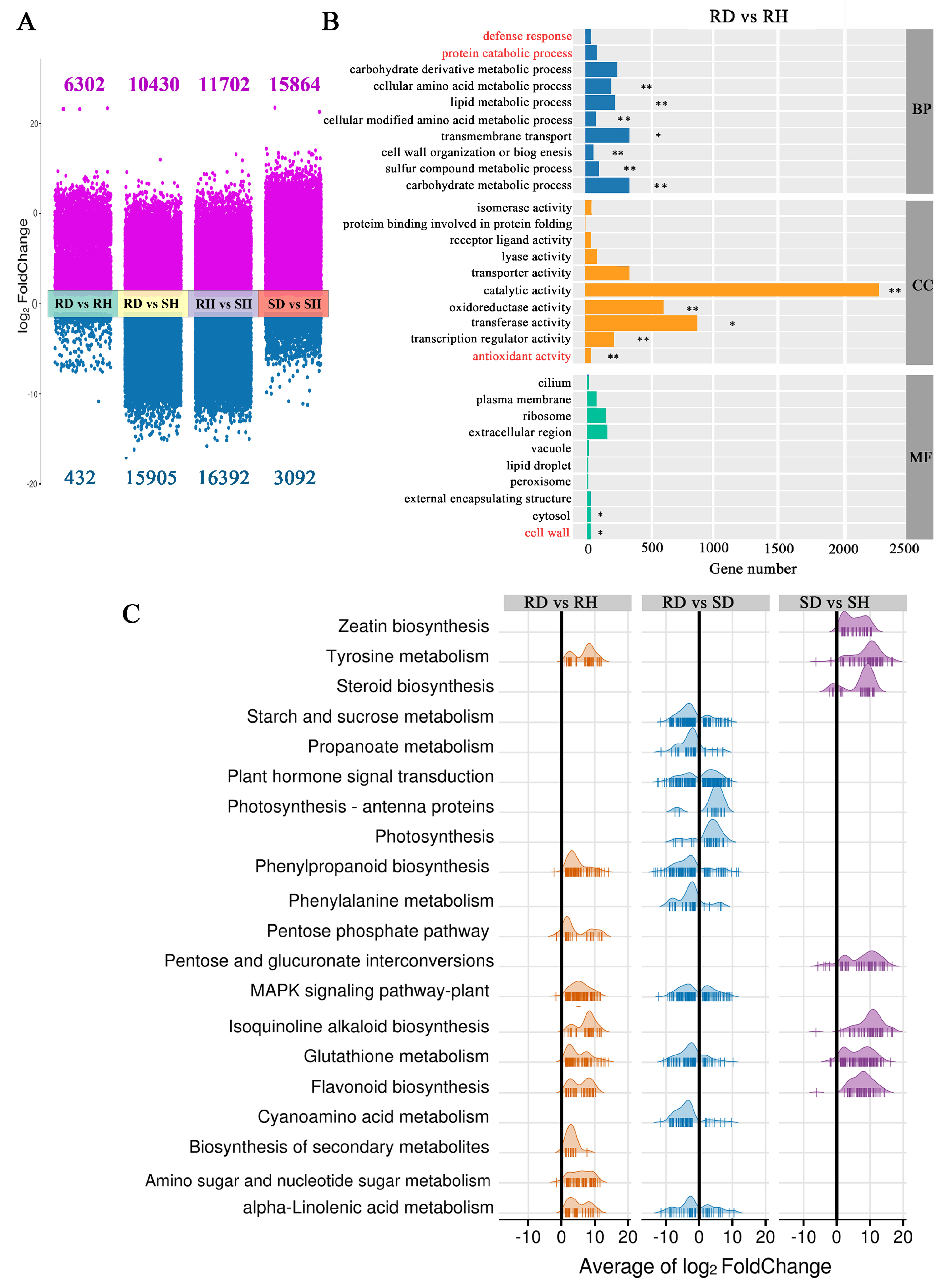 Ijms 25 11068 g002 Ijms 25 11068 g002