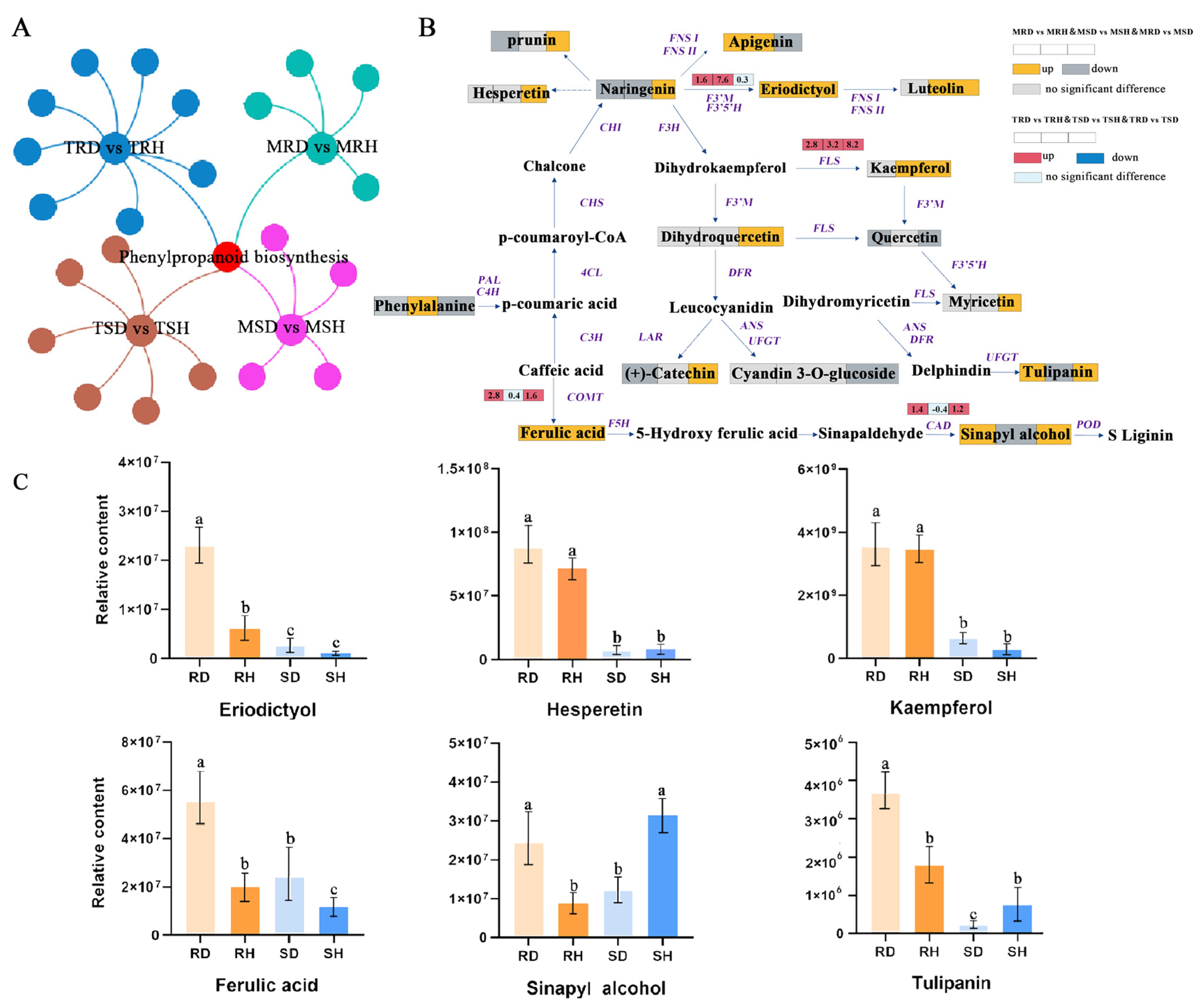 Ijms 25 11068 g005 Ijms 25 11068 g005