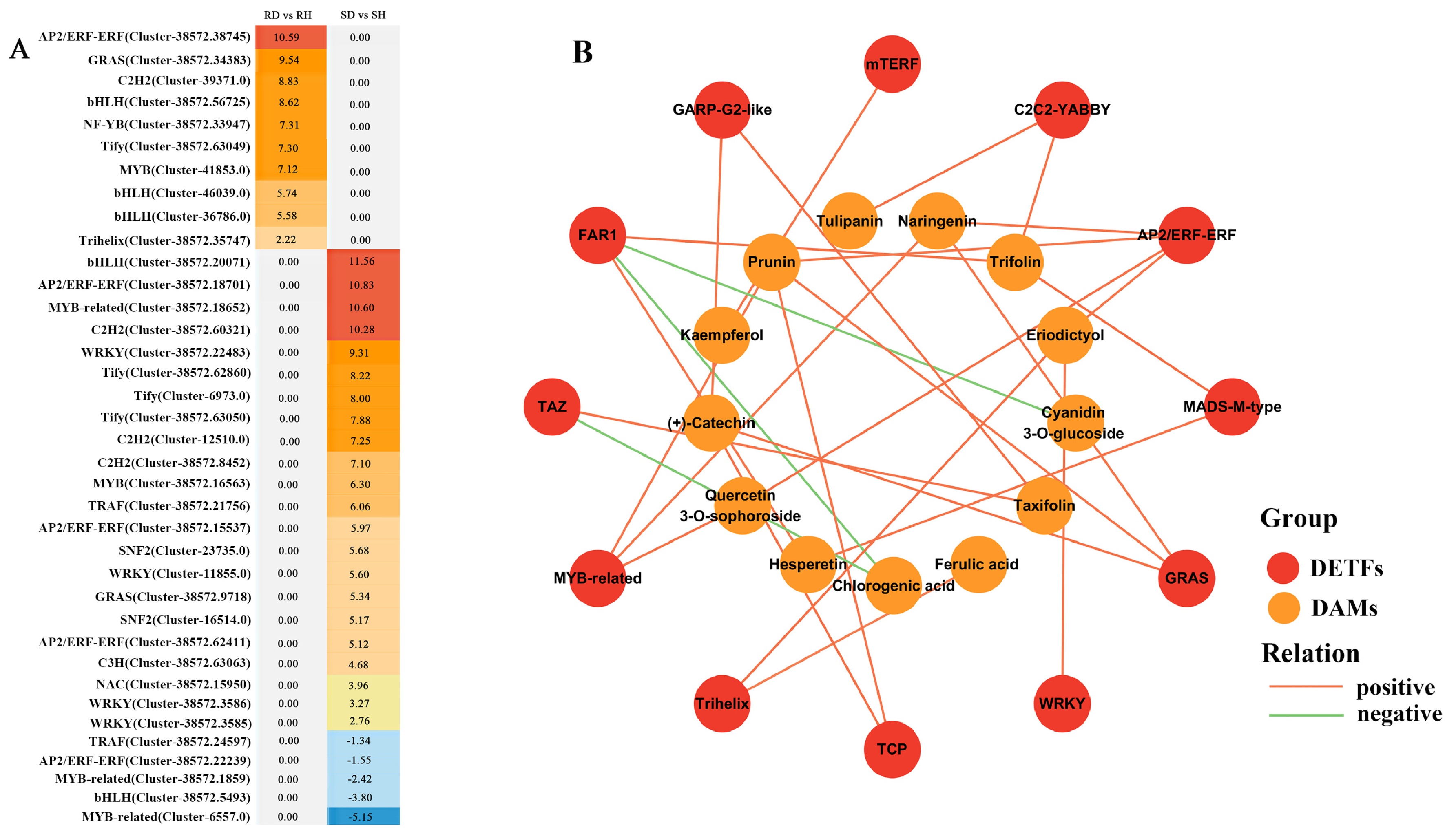 Ijms 25 11068 g006 Ijms 25 11068 g006