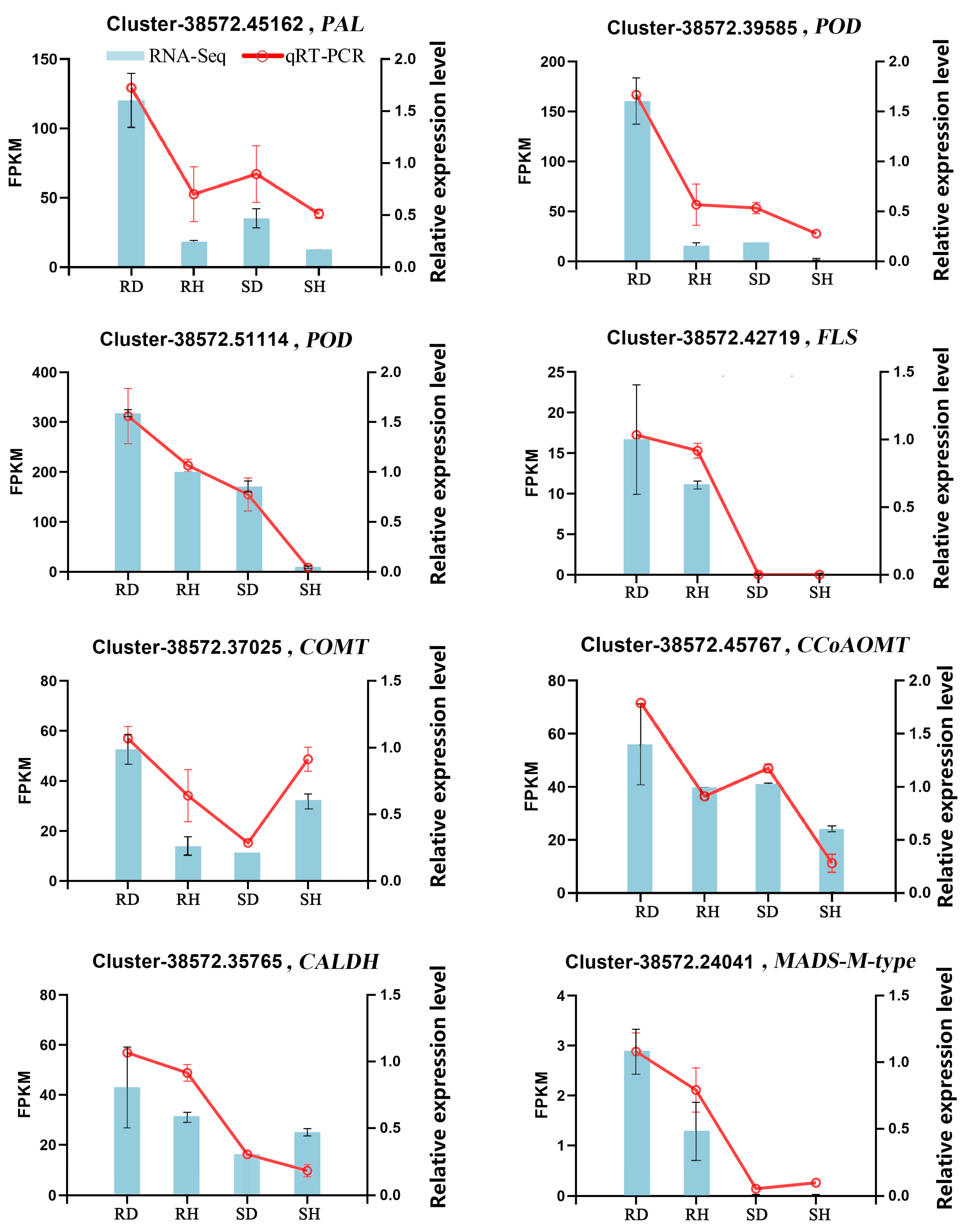 Ijms 25 11068 g007 Ijms 25 11068 g007