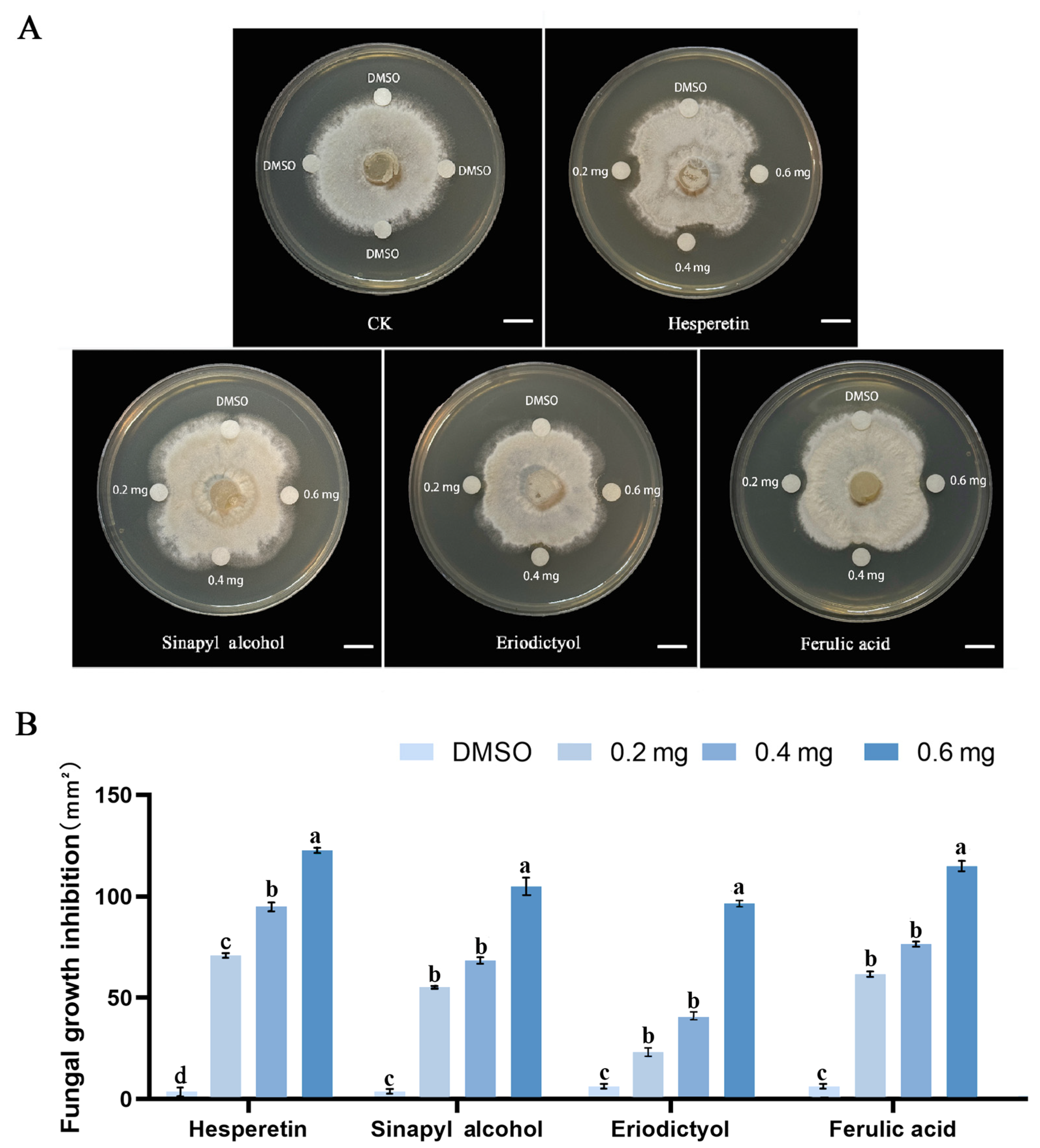 Ijms 25 11068 g008 Ijms 25 11068 g008