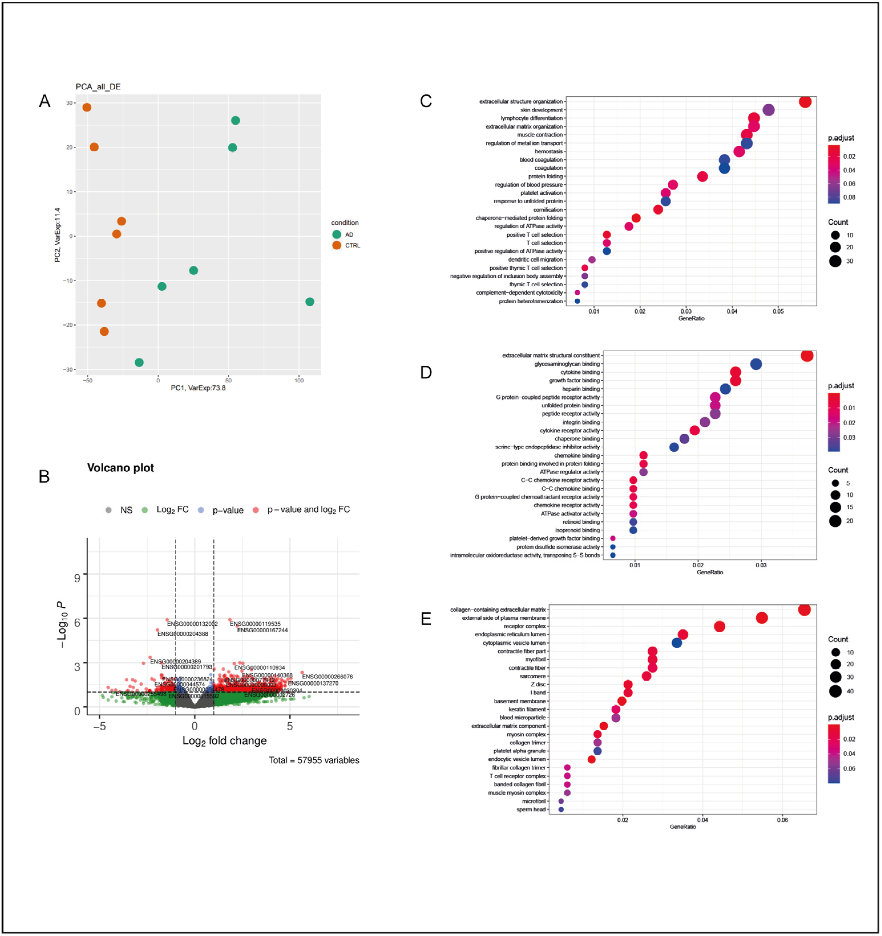 Ijms 25 11117 g004 Ijms 25 11117 g004
