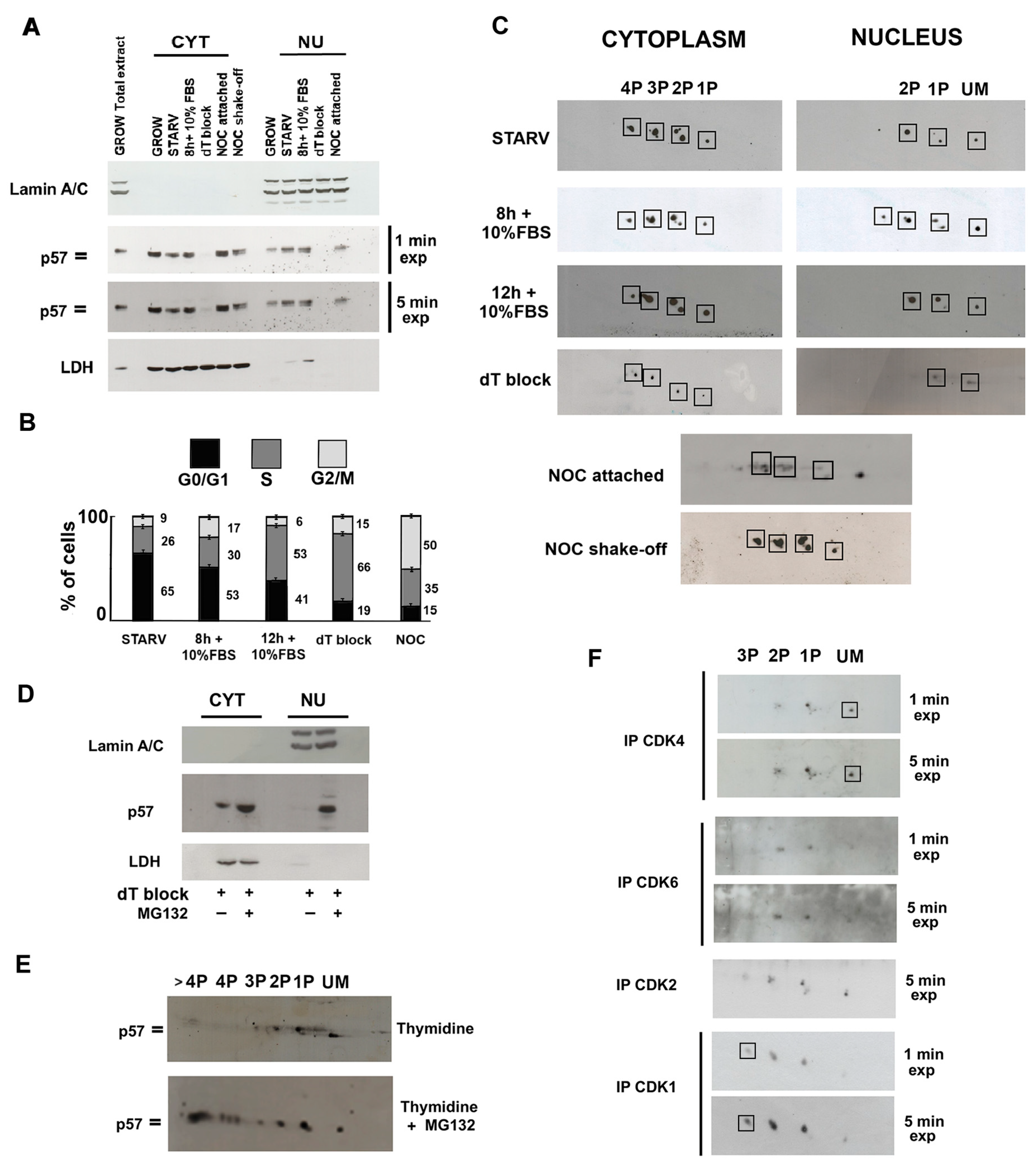 Ijms 25 11176 g003 Ijms 25 11176 g003