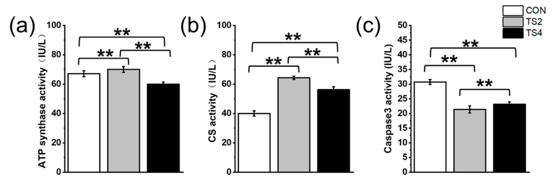 Ijms 25 11196 g004 Ijms 25 11196 g004