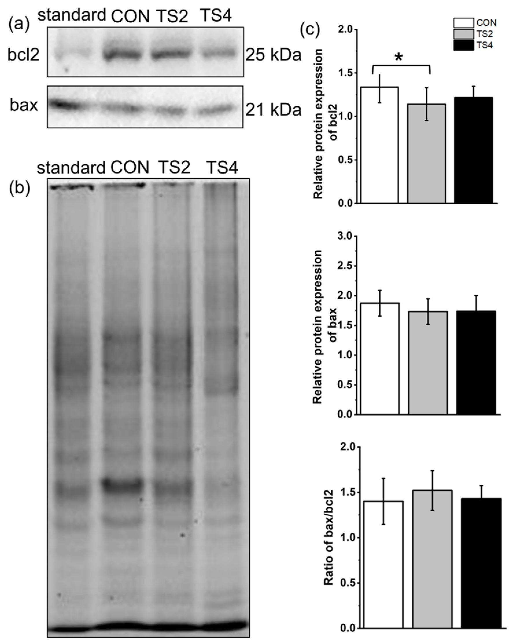 Ijms 25 11196 g006 Ijms 25 11196 g006