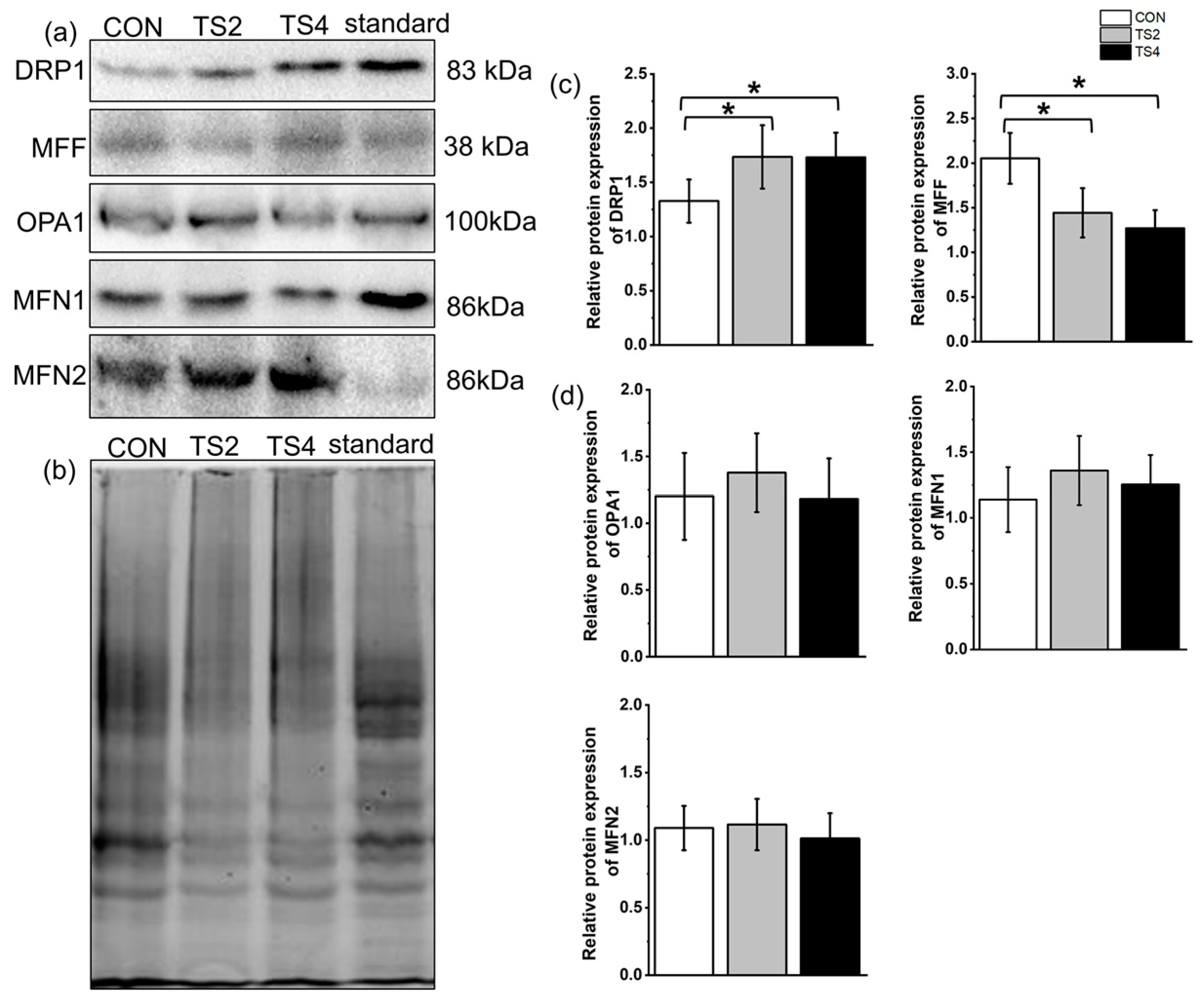 Ijms 25 11196 g007 Ijms 25 11196 g007