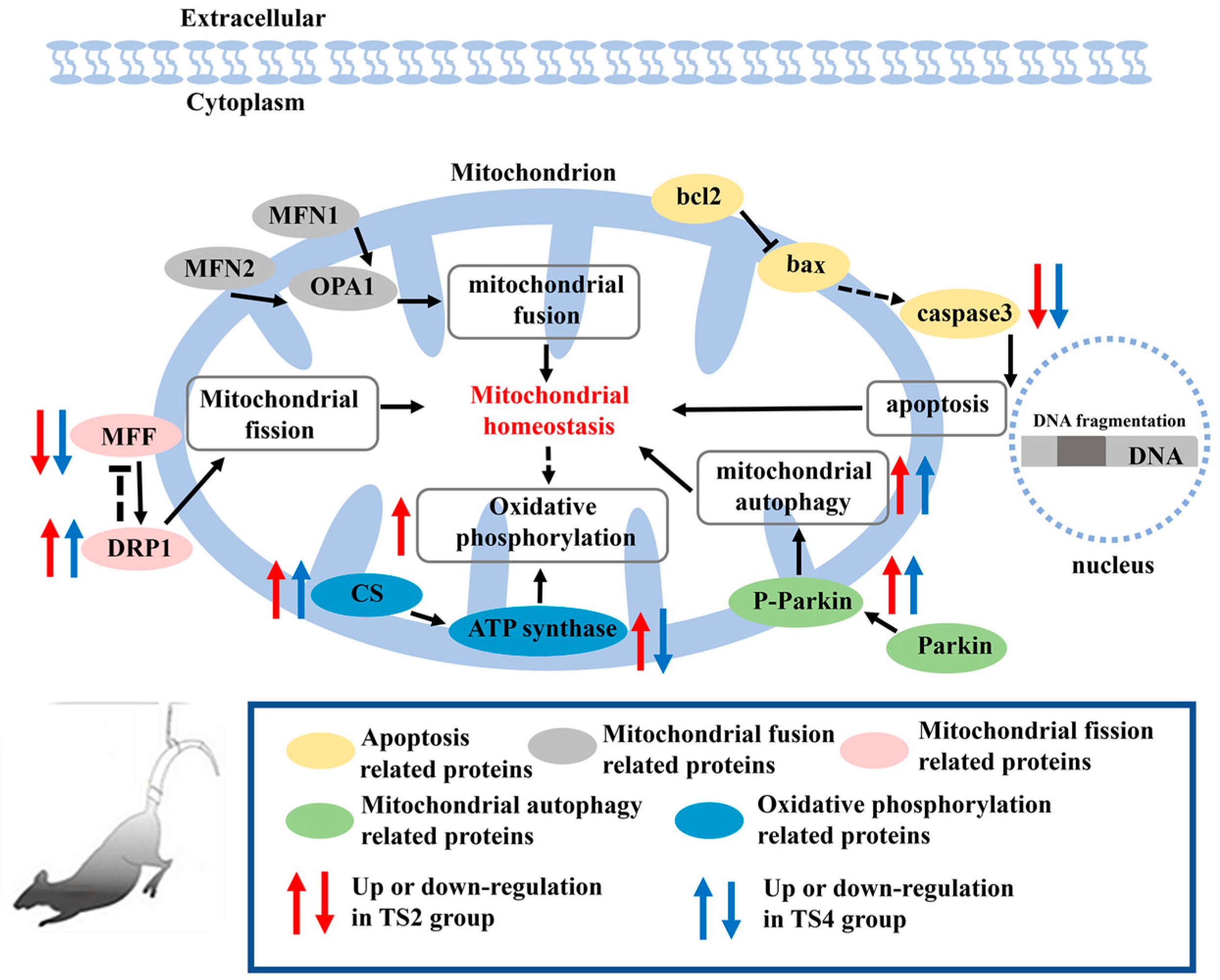 Ijms 25 11196 g009 Ijms 25 11196 g009