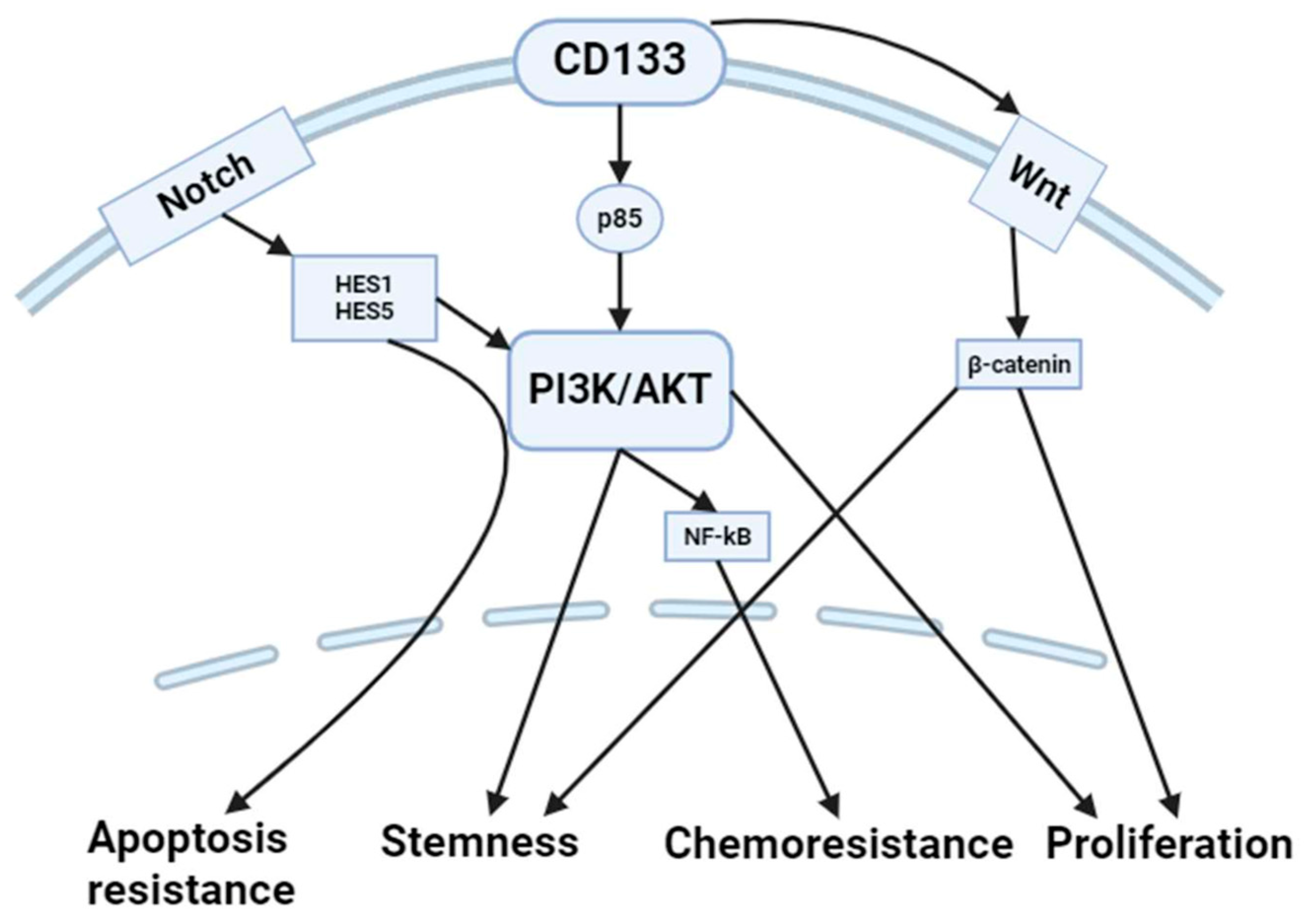 Ijms 25 11201 g002 Ijms 25 11201 g002