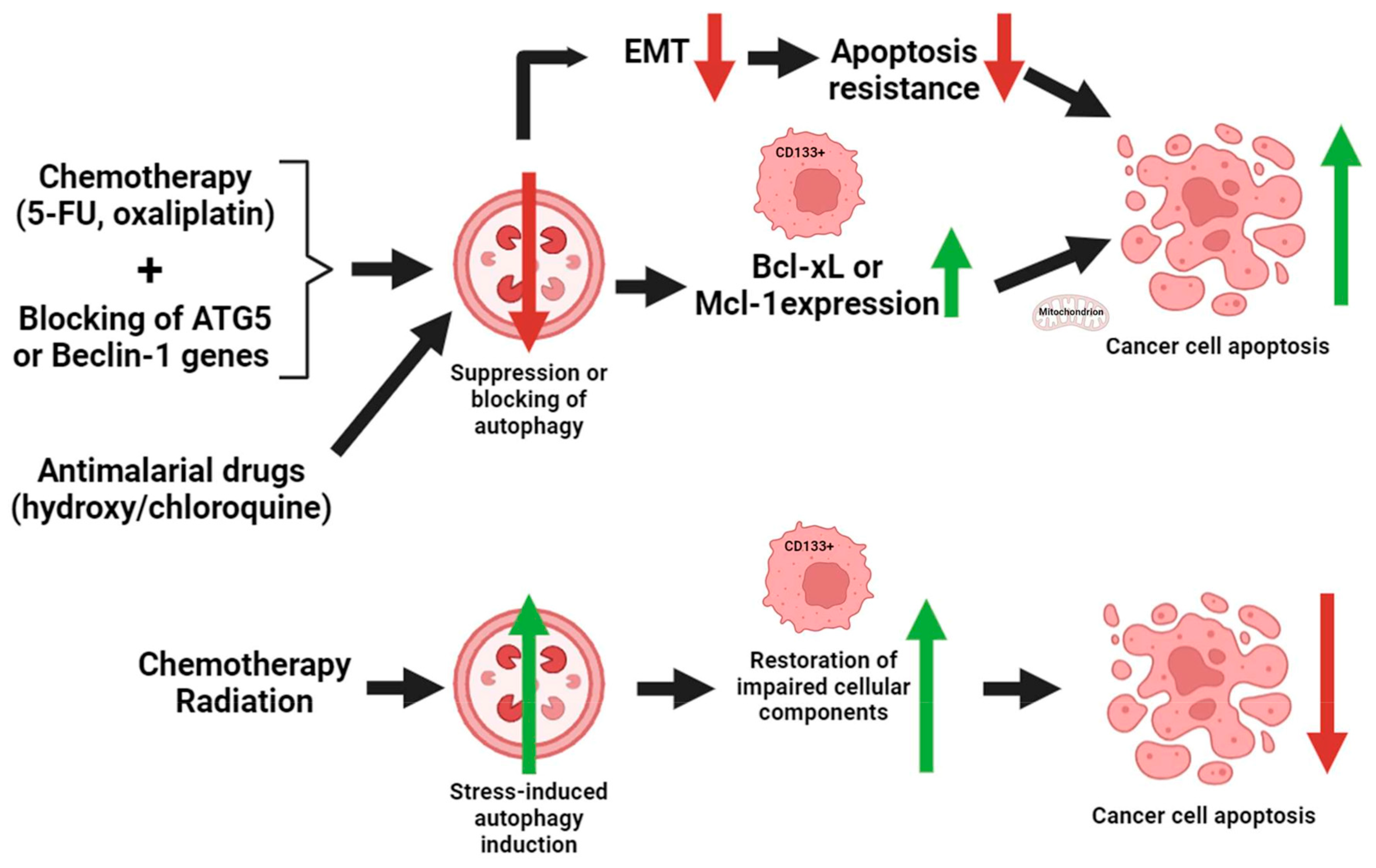 Ijms 25 11201 g004 Ijms 25 11201 g004