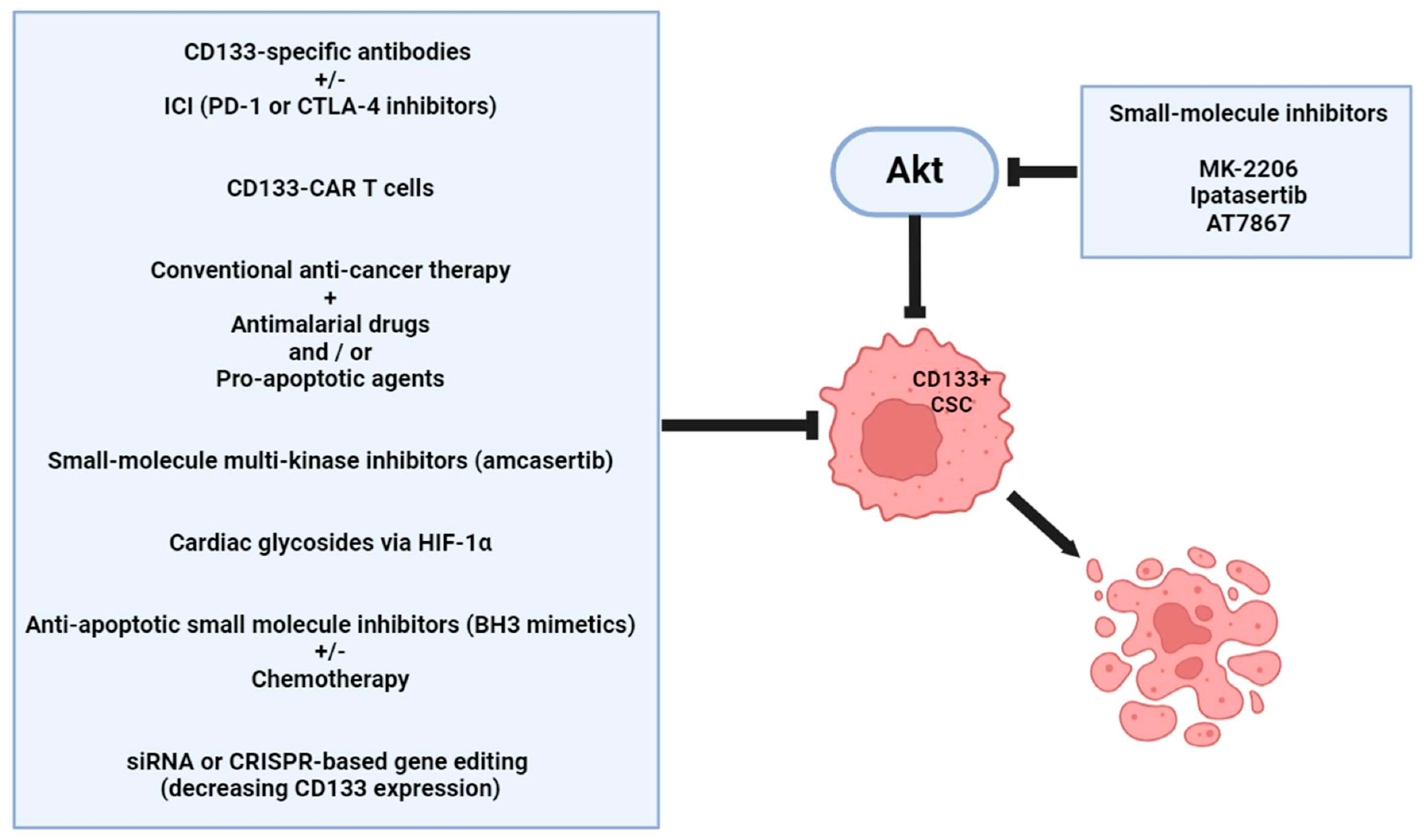 Ijms 25 11201 g005 Ijms 25 11201 g005