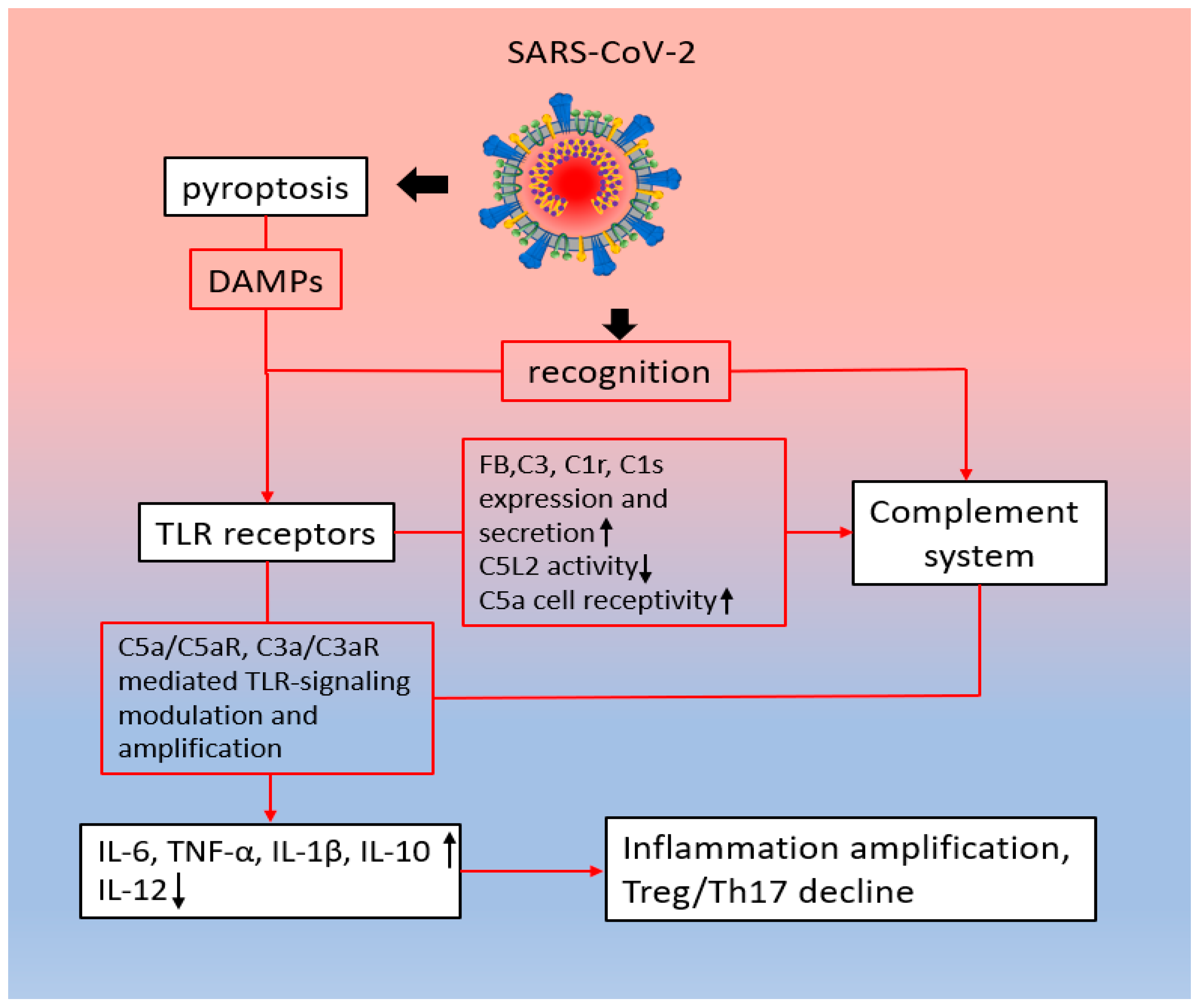 Ijms 25 11267 g004 Ijms 25 11267 g004
