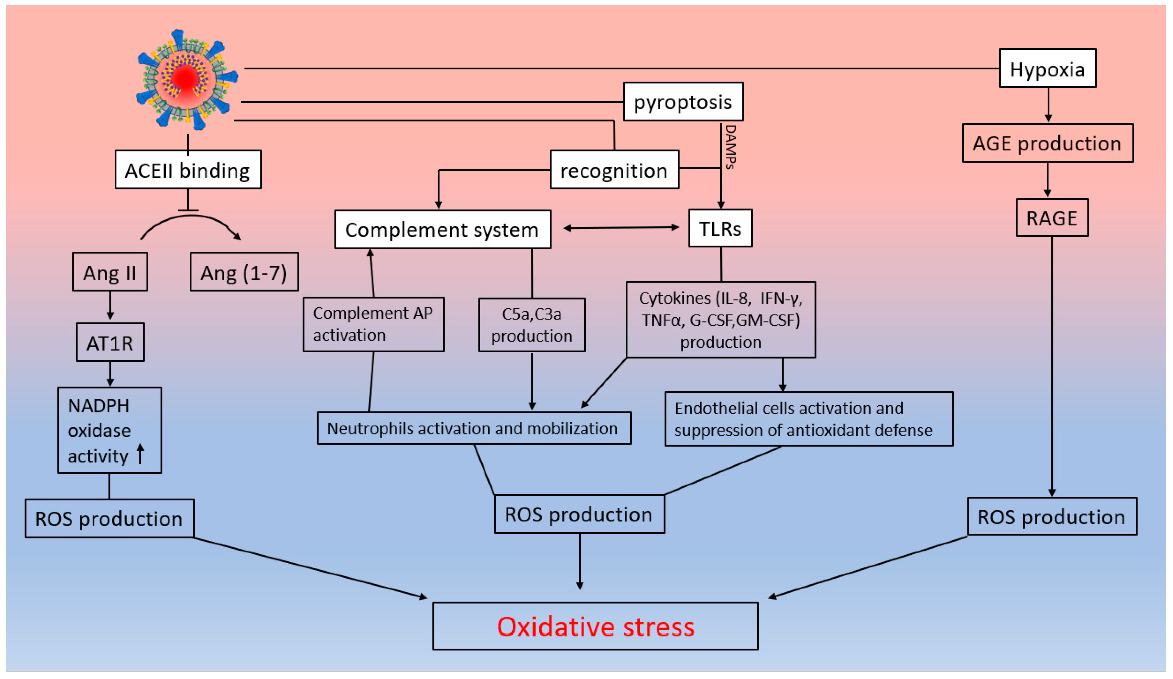 Ijms 25 11267 g005 Ijms 25 11267 g005